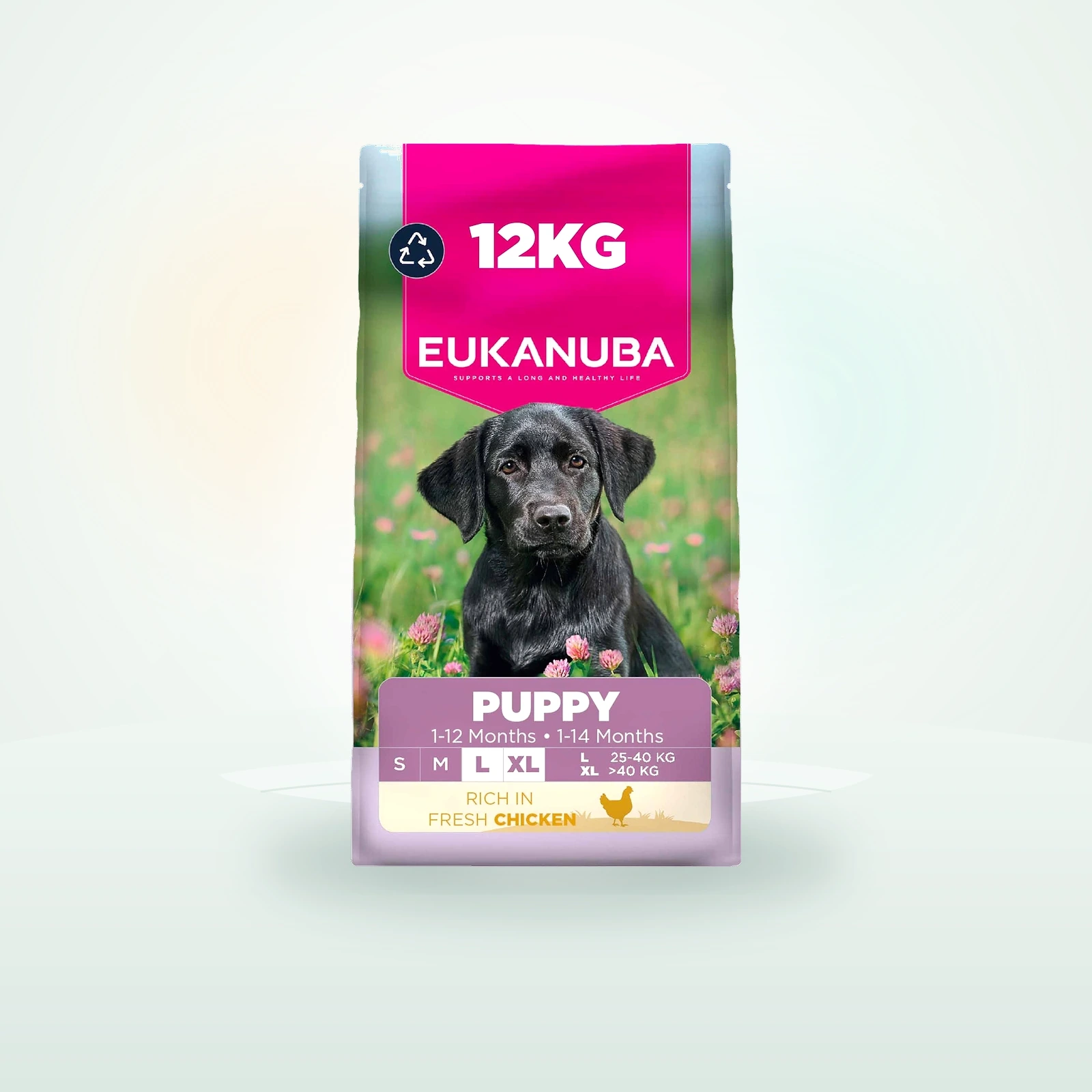 Eukanuba Large Breed Puppy Food - Chicken