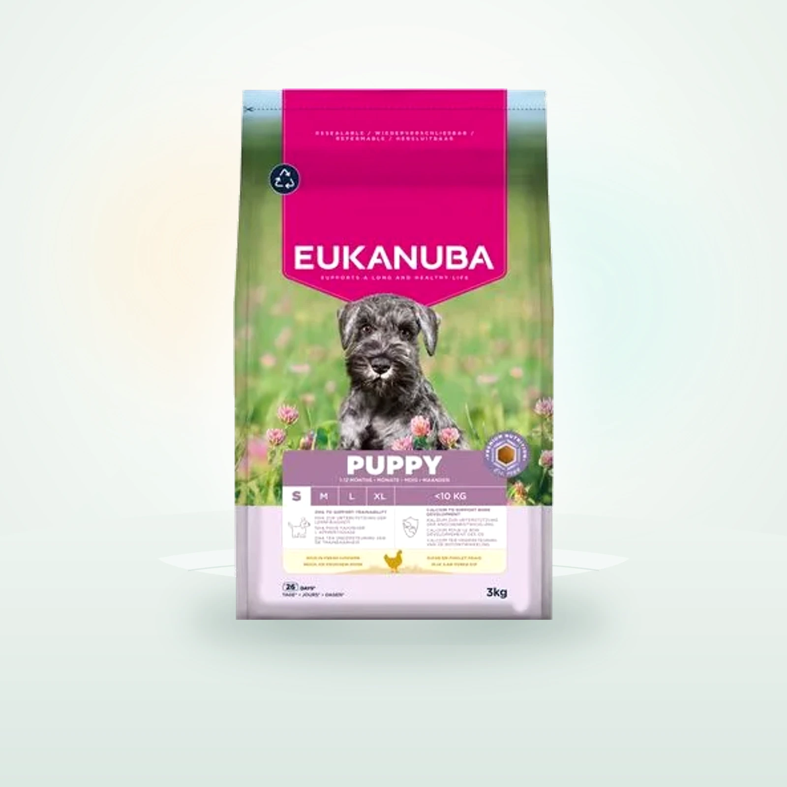 Eukanuba Premium Nutrition Puppy Small Breed pollo