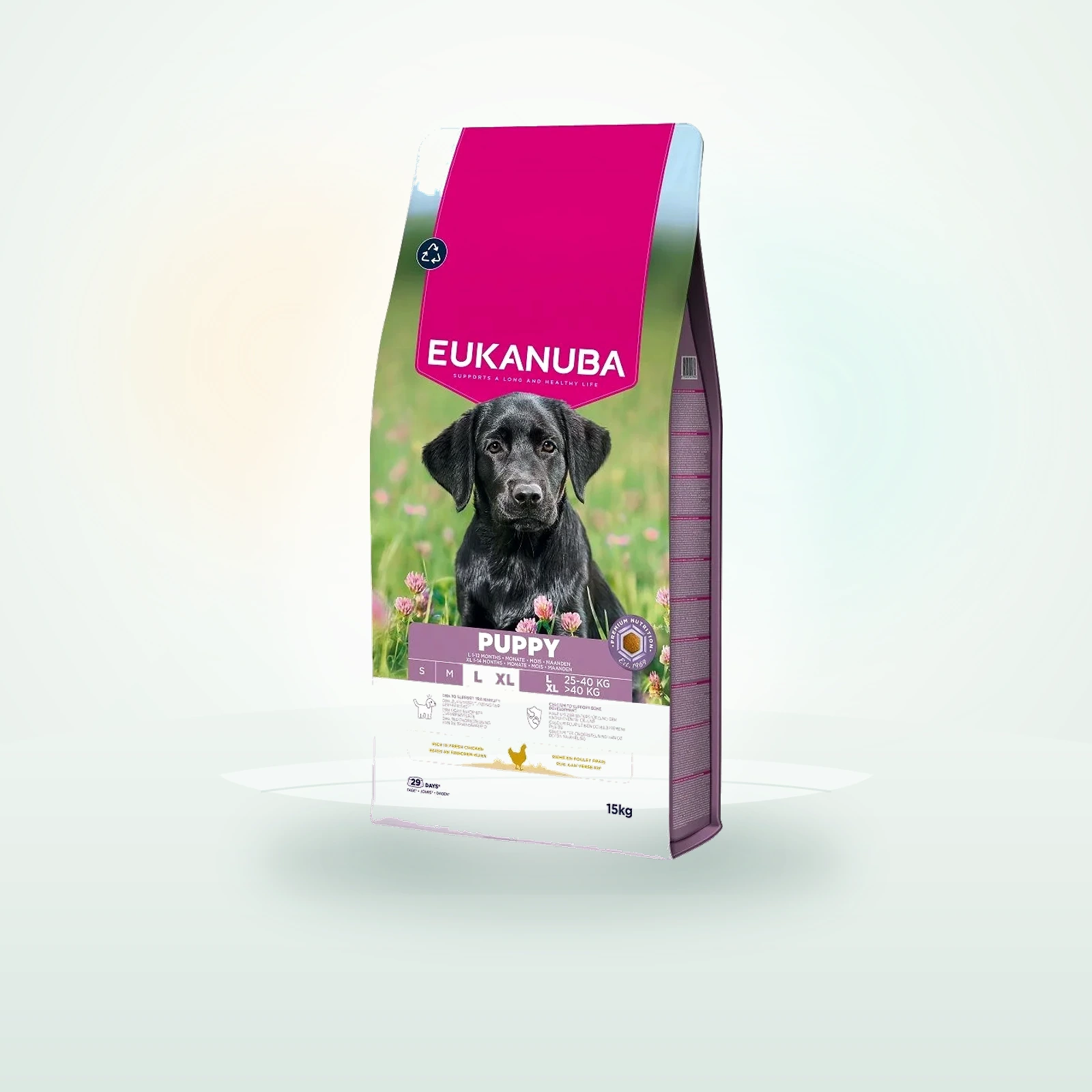 Eukanuba Puppy Large Breeds Chicken sucha karma dla szczeniąt dużych ras bogata w świeżego kurczaka