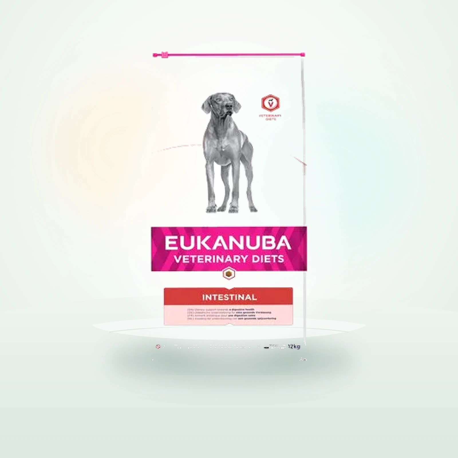 Eukanuba VETERINARY DIETS Intestinal pienso para perros