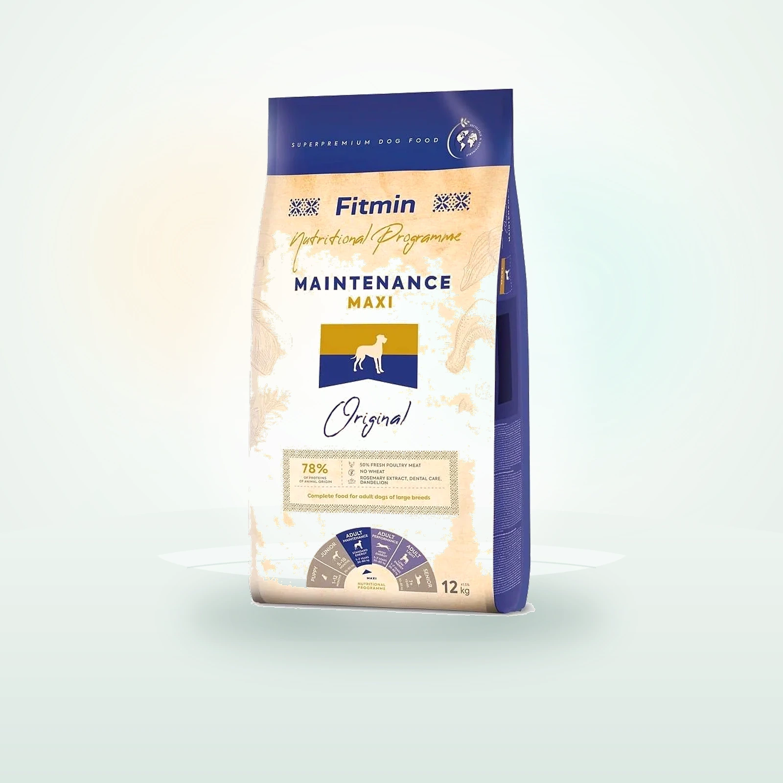 FITMIN dog maxi maintenance