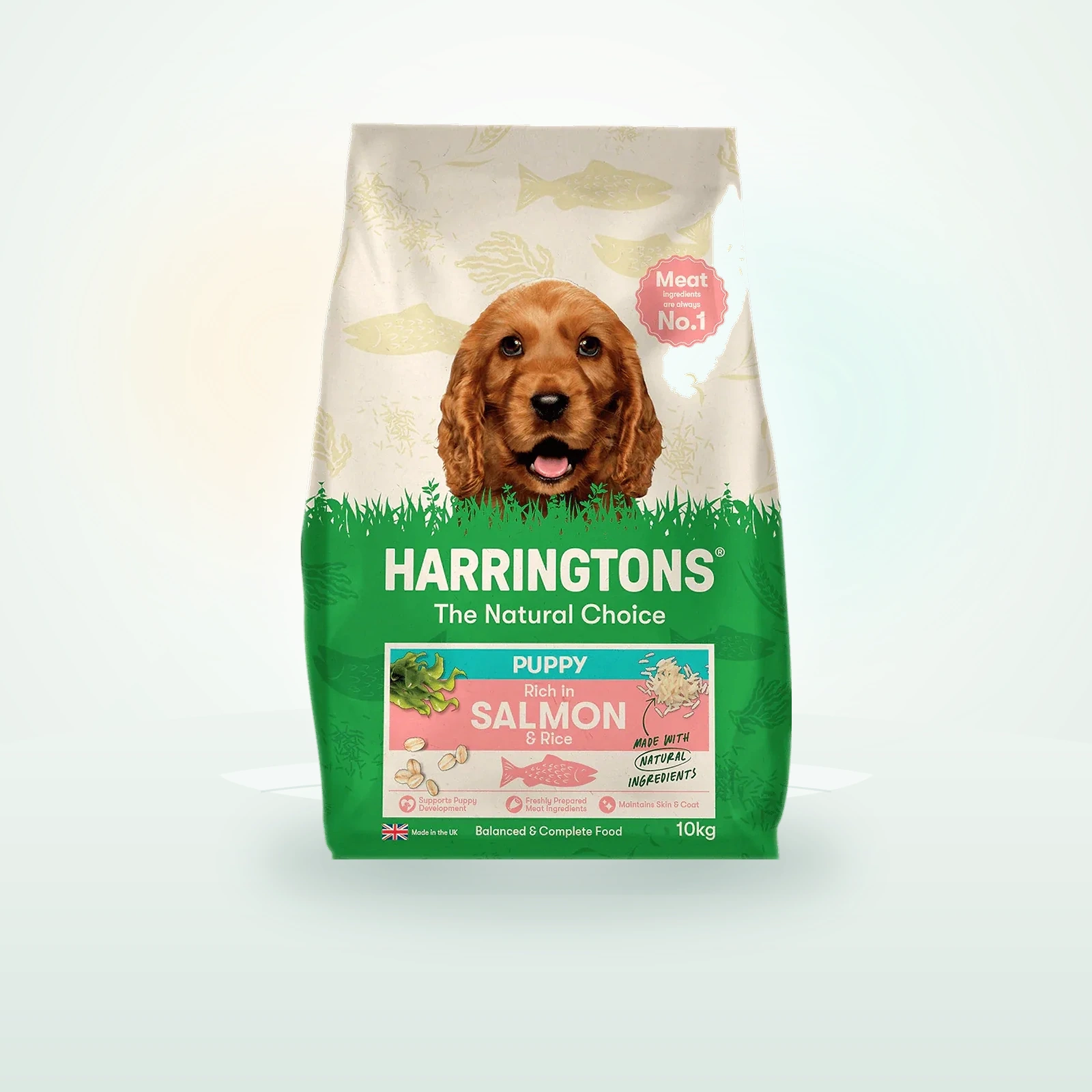 Harringtons Dry Rich in Salmon & Rice