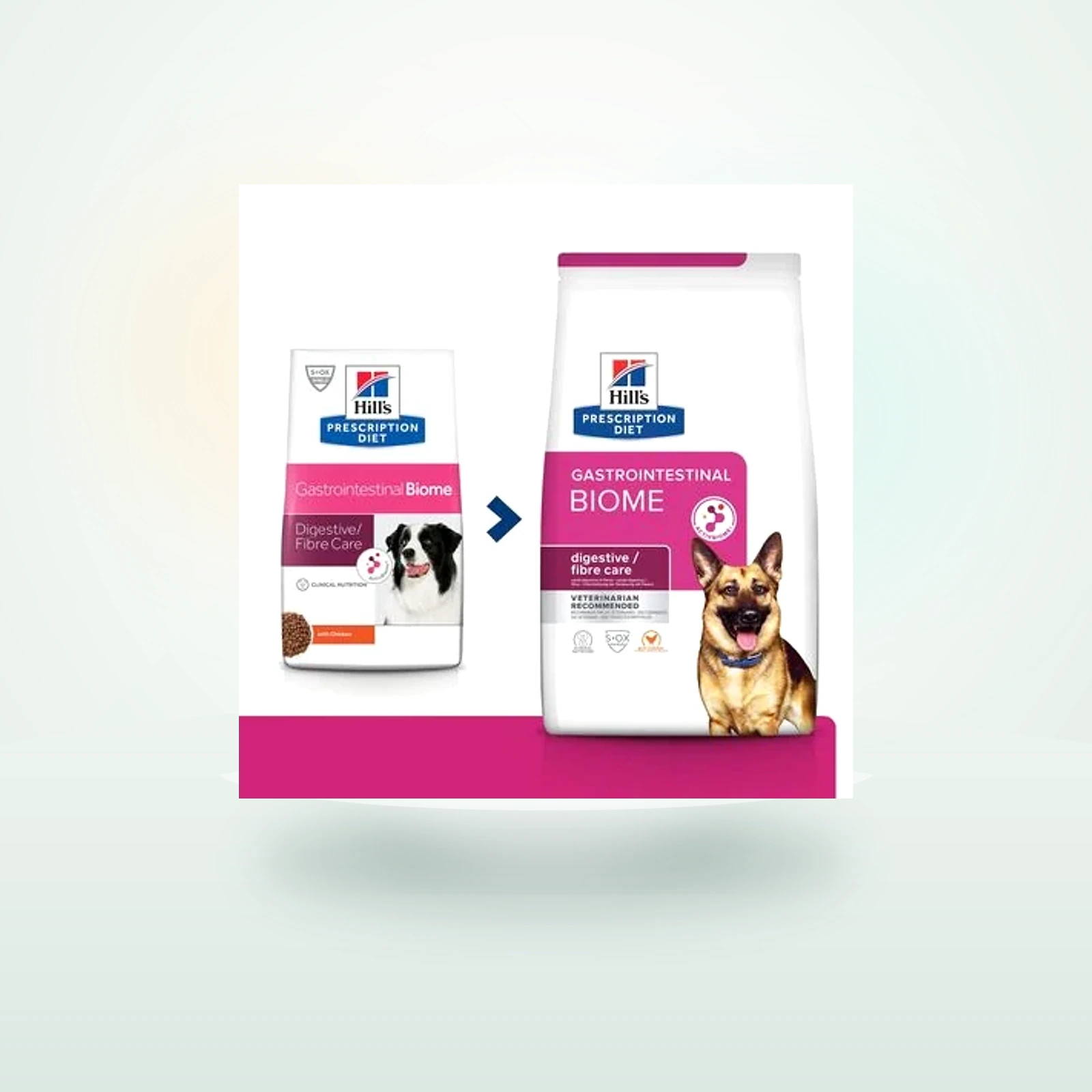 Hill's Prescription Diet Gastrointestinal Biome with Chicken