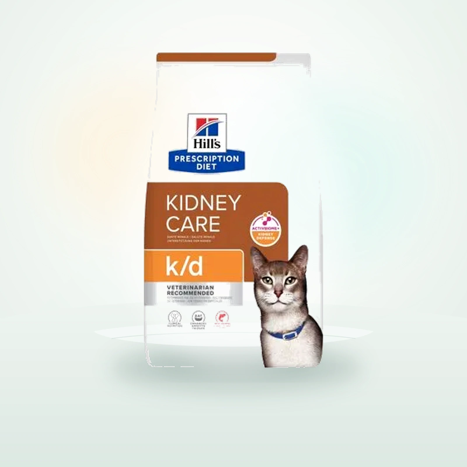 Hill's Prescription Diet k/d Kidney Care con salmón