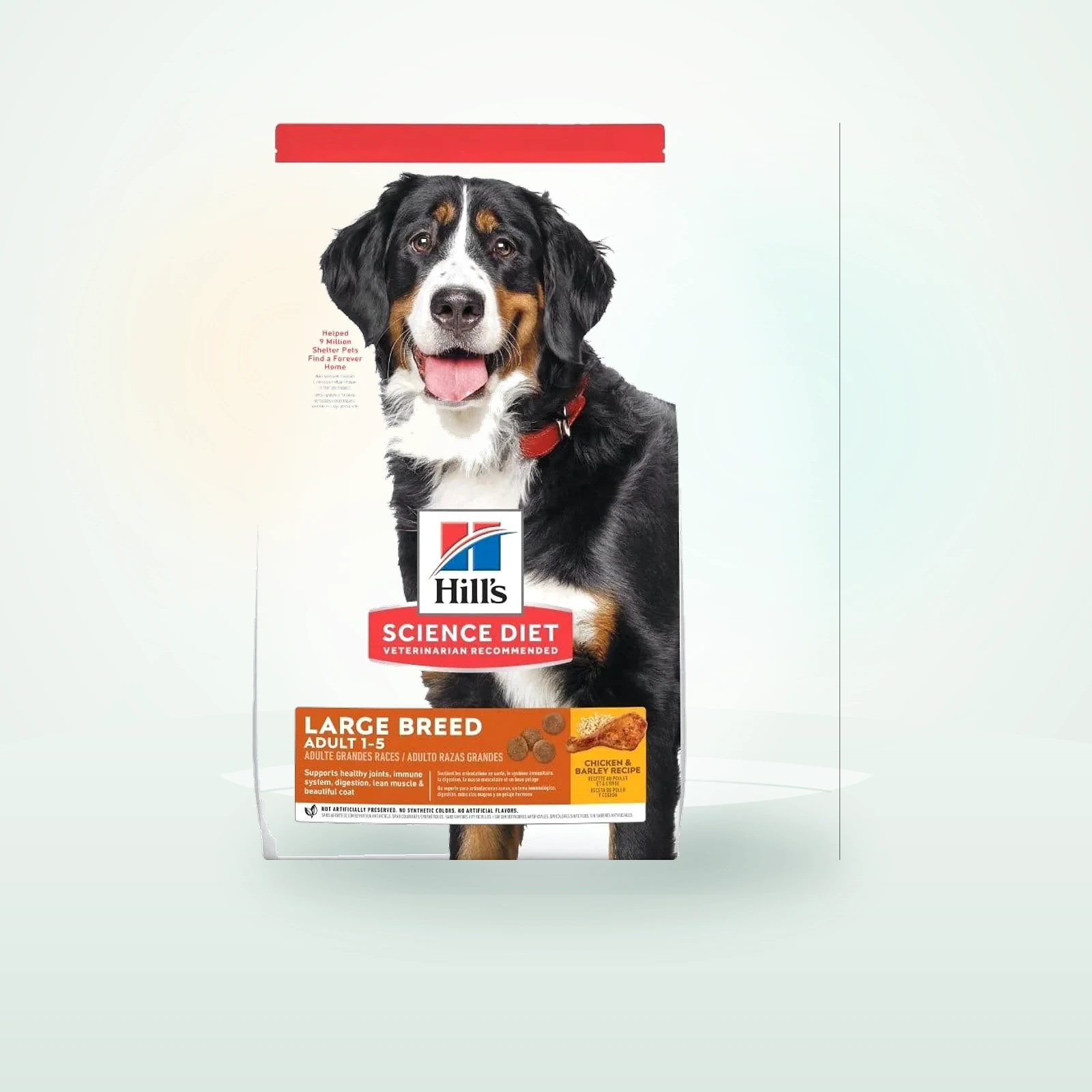 HILL'S Science Plan Adult Dog Large Dry Chicken kurczak dla dużych ras