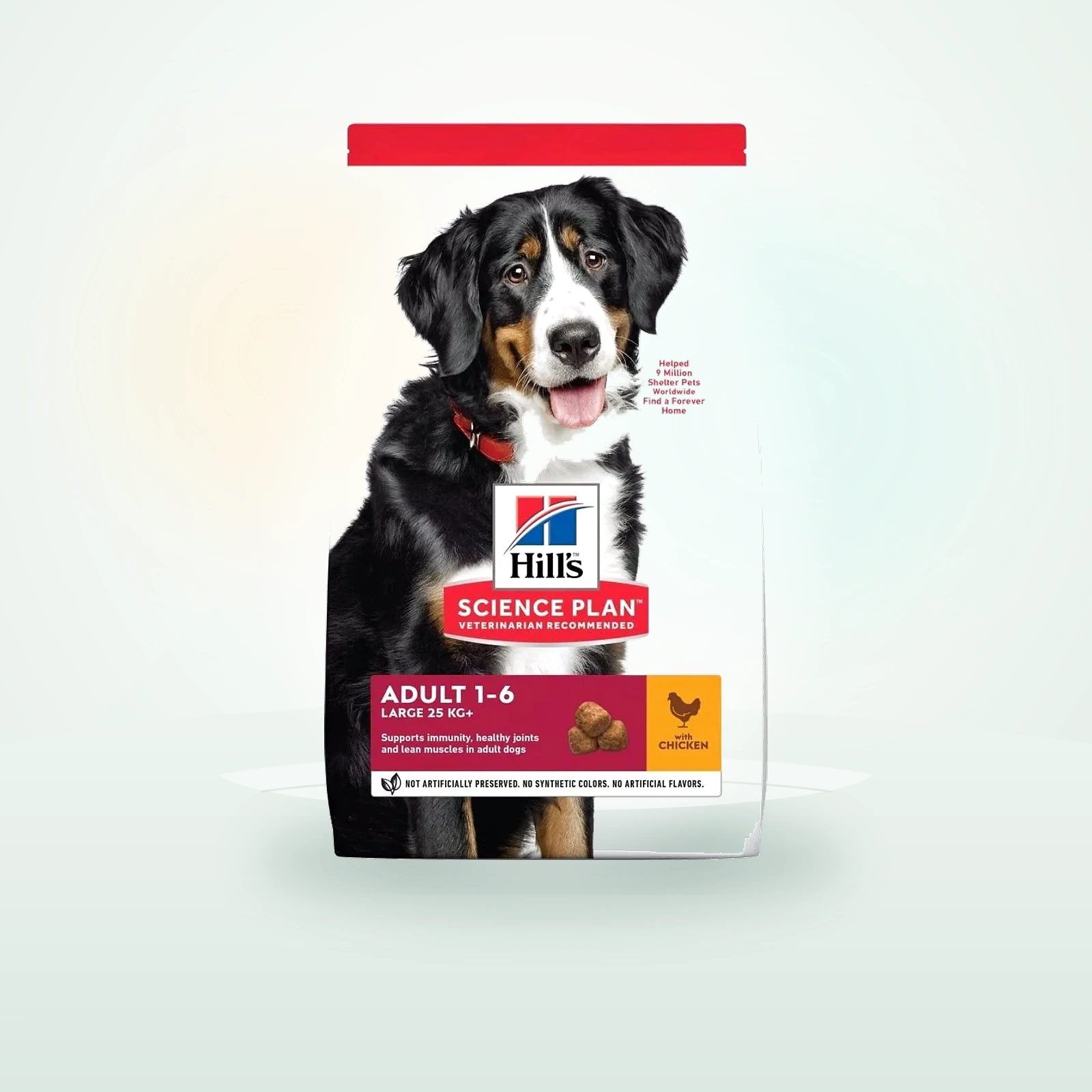 HILL'S Science Plan Canine Adult Large breed Chicken karma dla psów ras dużych kurczak