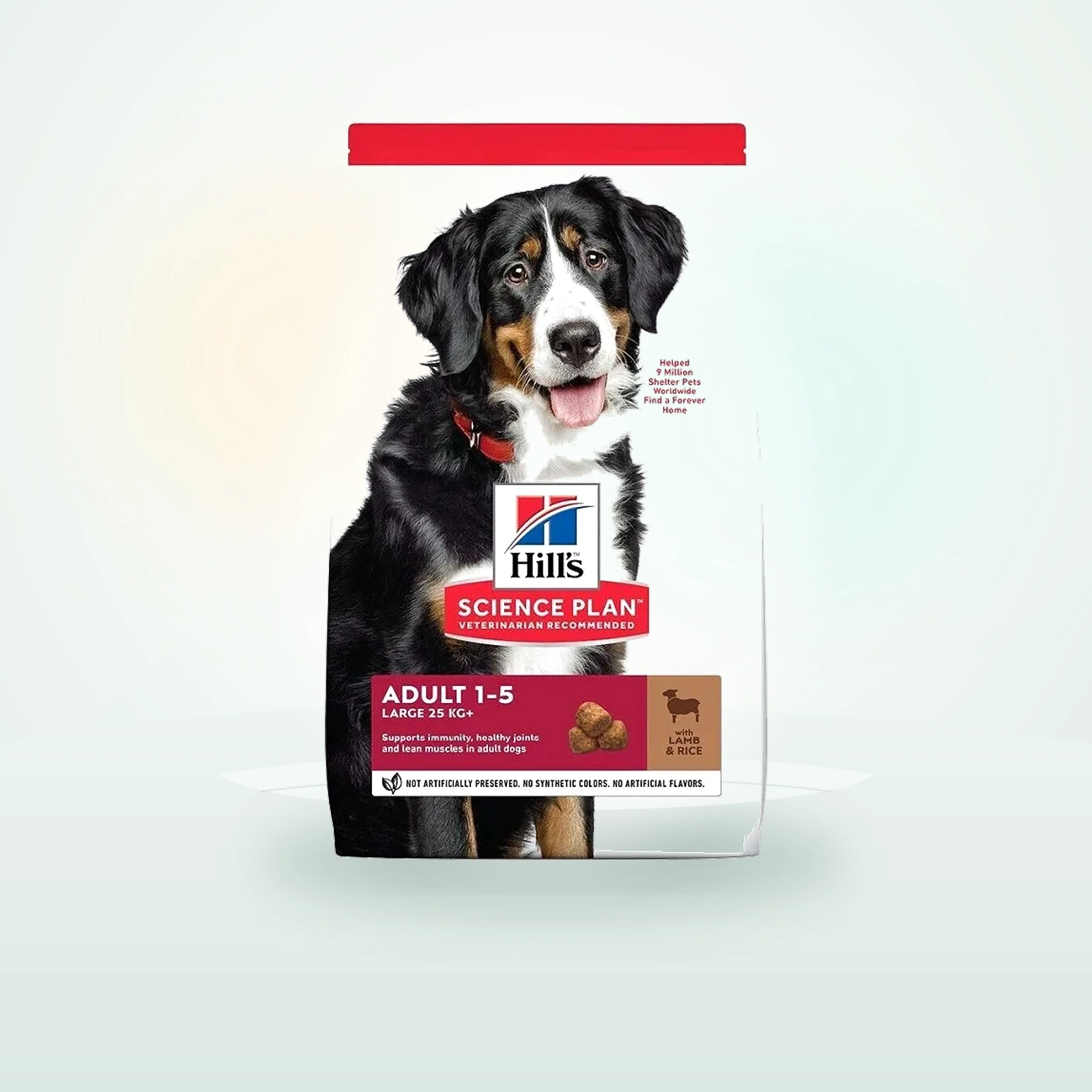 Hill's Science Plan Canine Adult Large Breed Lamb&Rice karma dla psów dużych ras z jagnięciną i ryżem