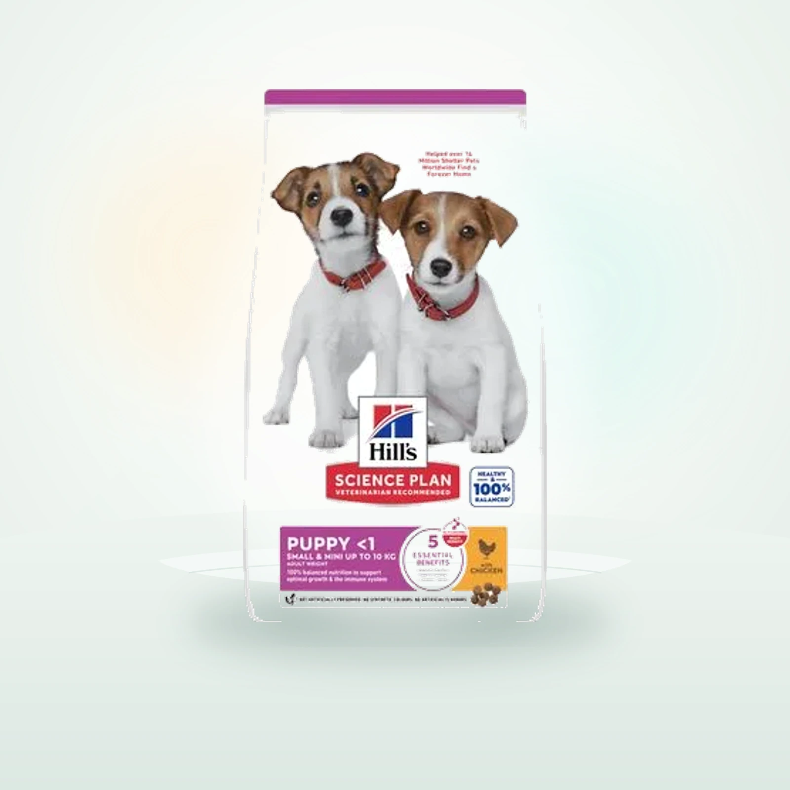 Hill's Science Plan Puppy 1 Small & Mini with Chicken