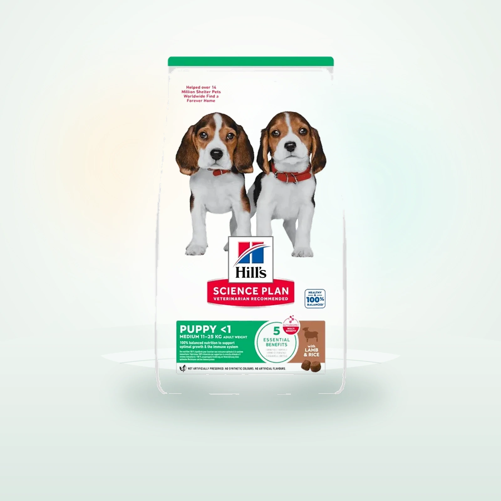 Hill's Science Plan Science Plan croquettes pour chien, Medium Puppy avec de l’agneau et du riz