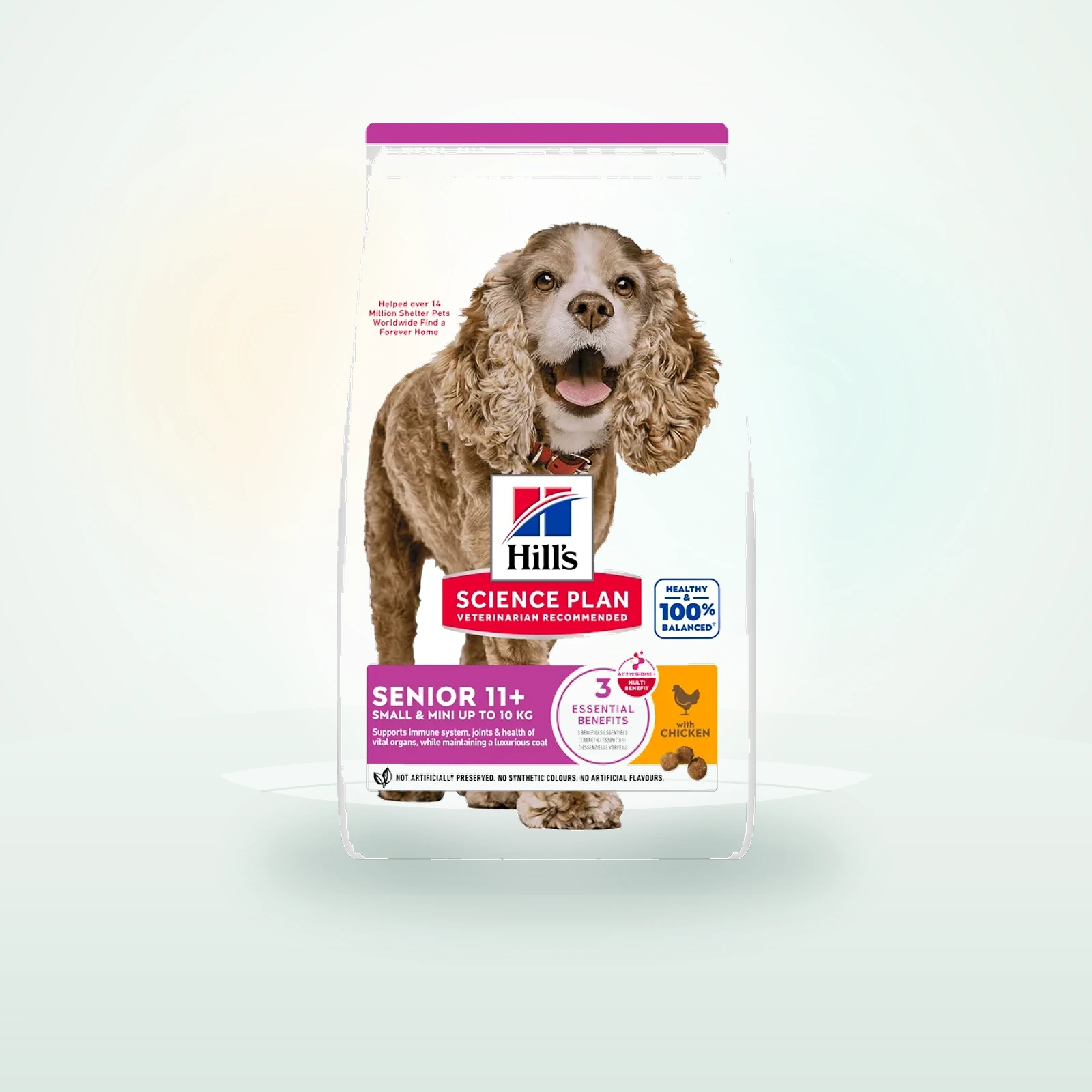 Hill's Science Plan Senior Mini Breed Dry Dog Food with Chicken