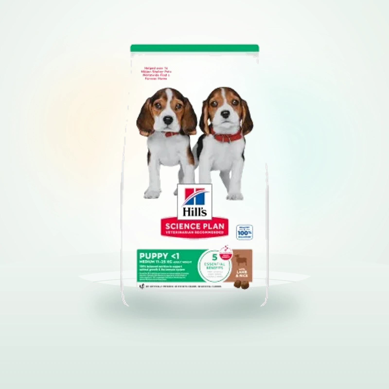 Hill's Science Plan Trockenfutter Hund, Medium Puppy, mit Lamm und Reis