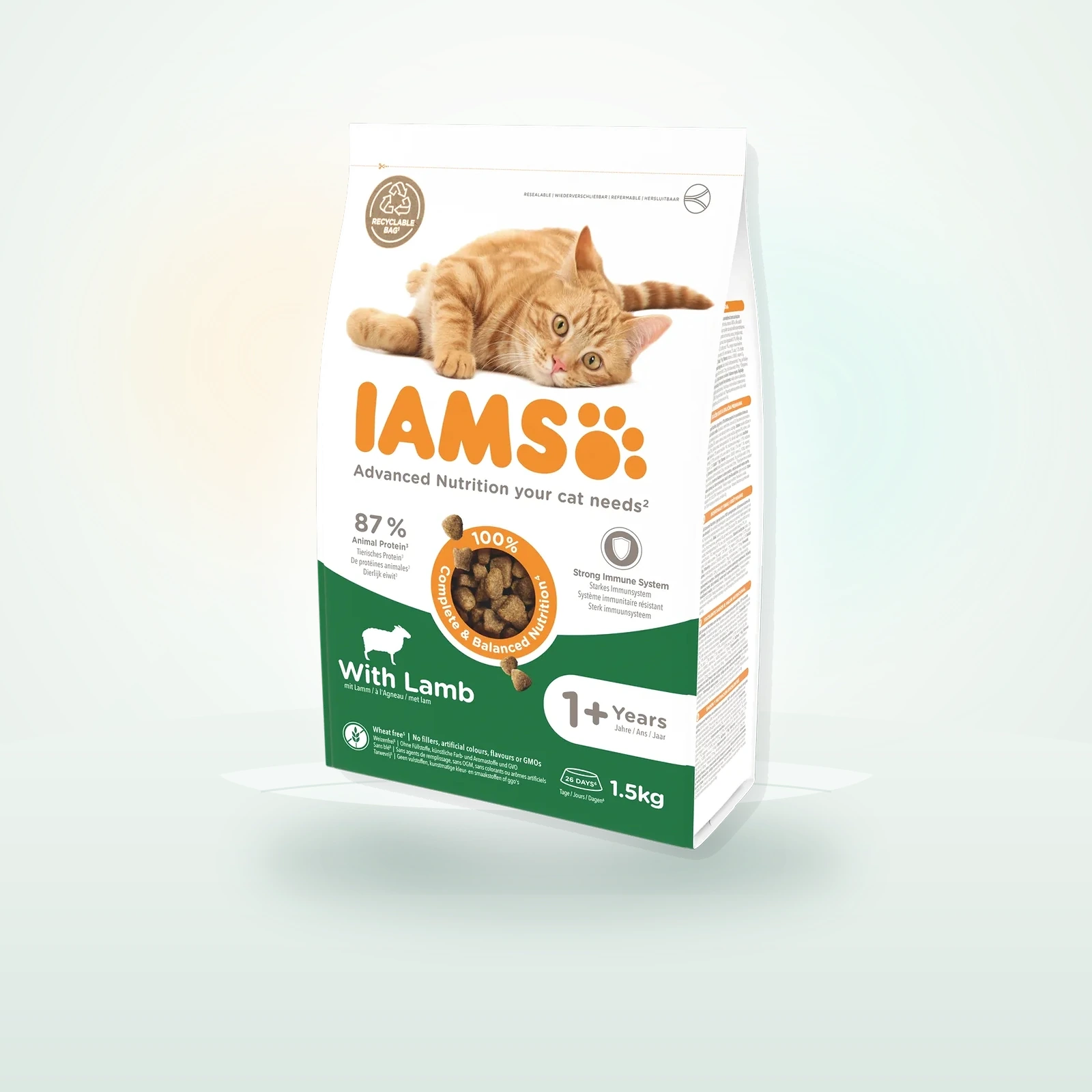 IAMS Adult with Lamb