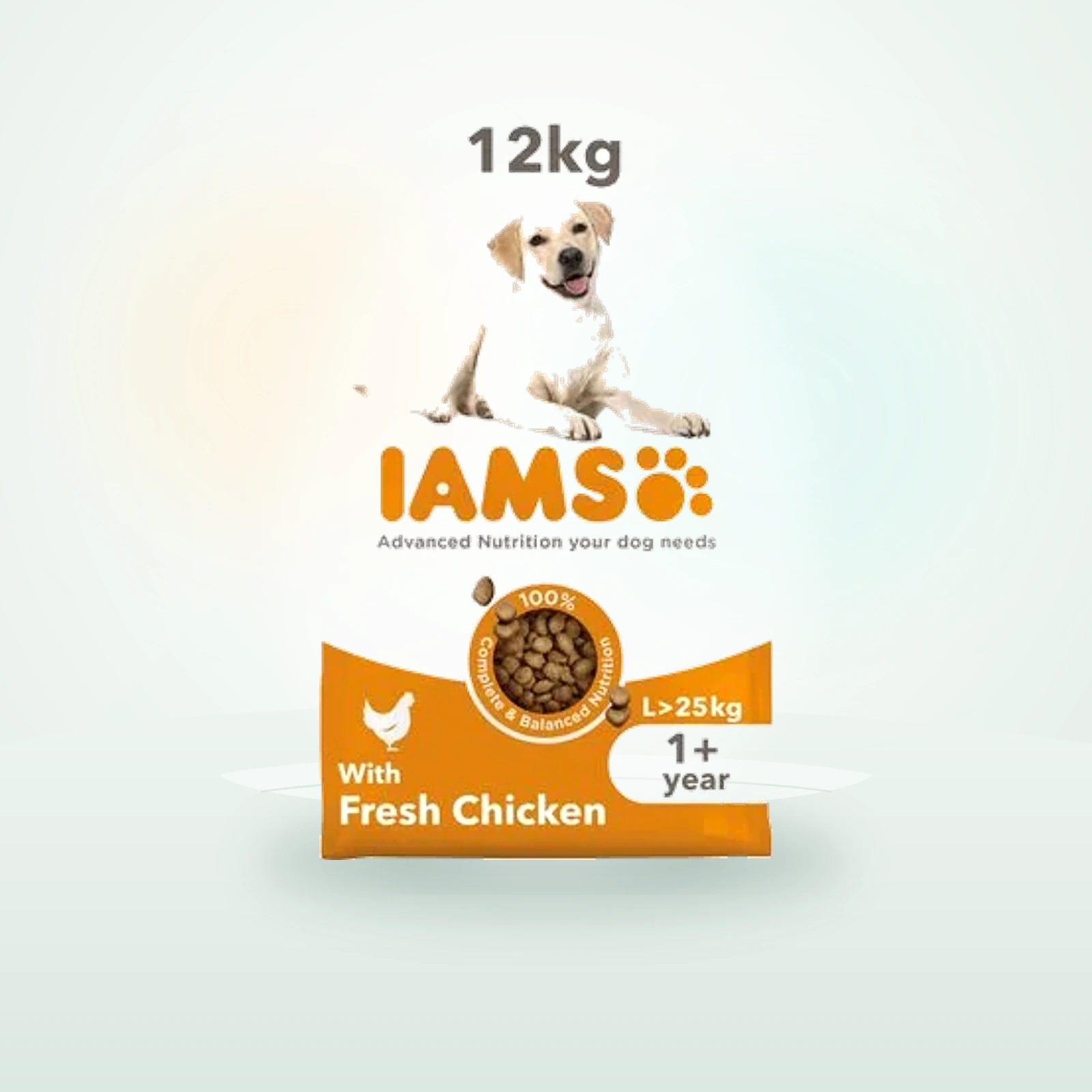 IAMS Advanced Nutrition Adult Large Dog - Chicken