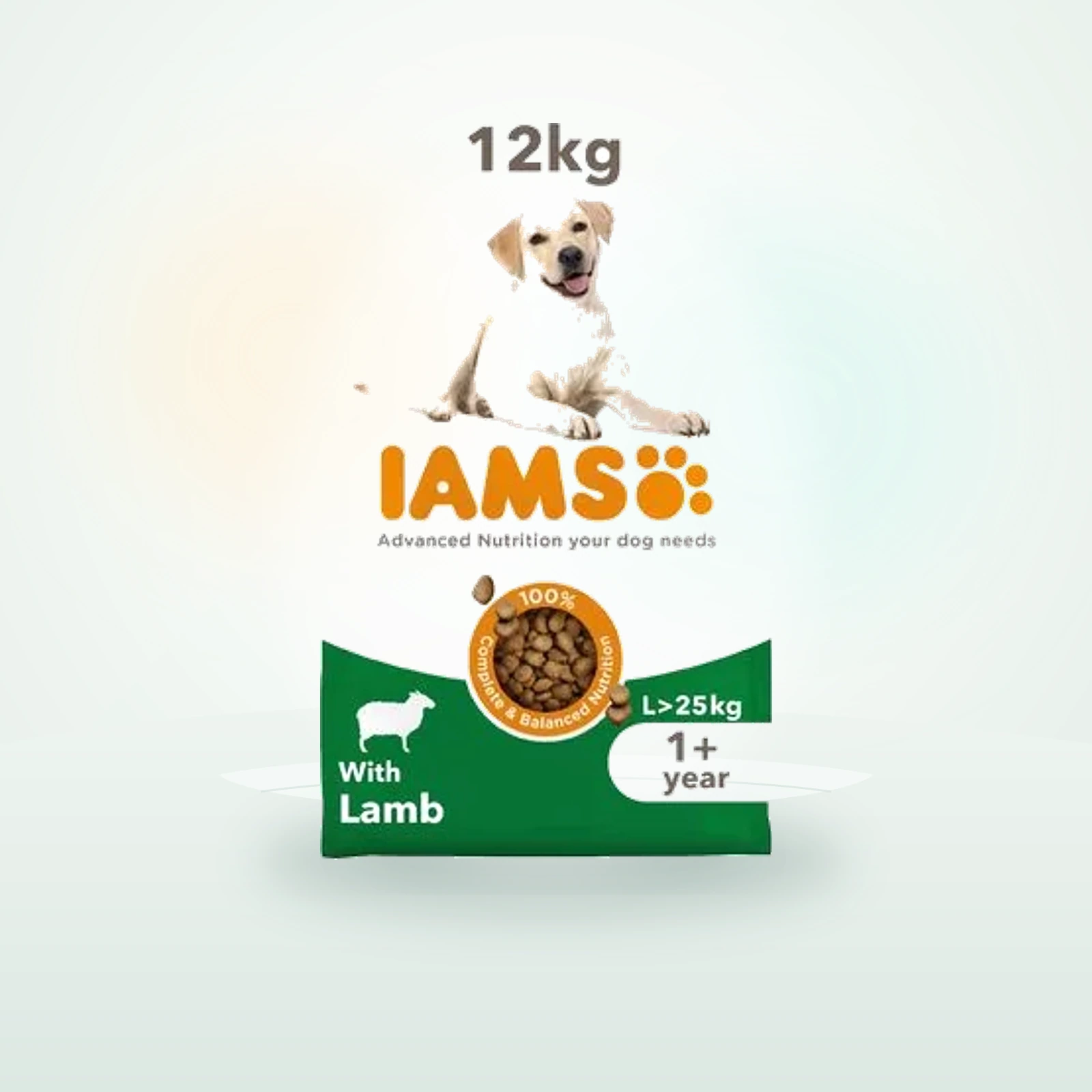 IAMS Advanced Nutrition Adult Large Dog - Lamb