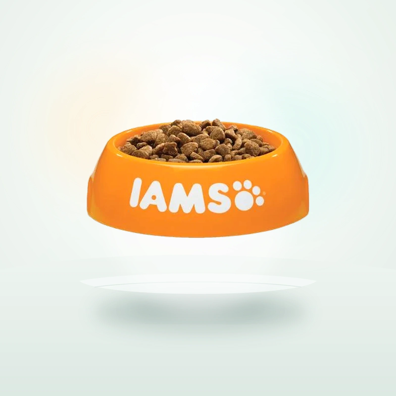 IAMS Advanced Nutrition Puppy Large con pollo