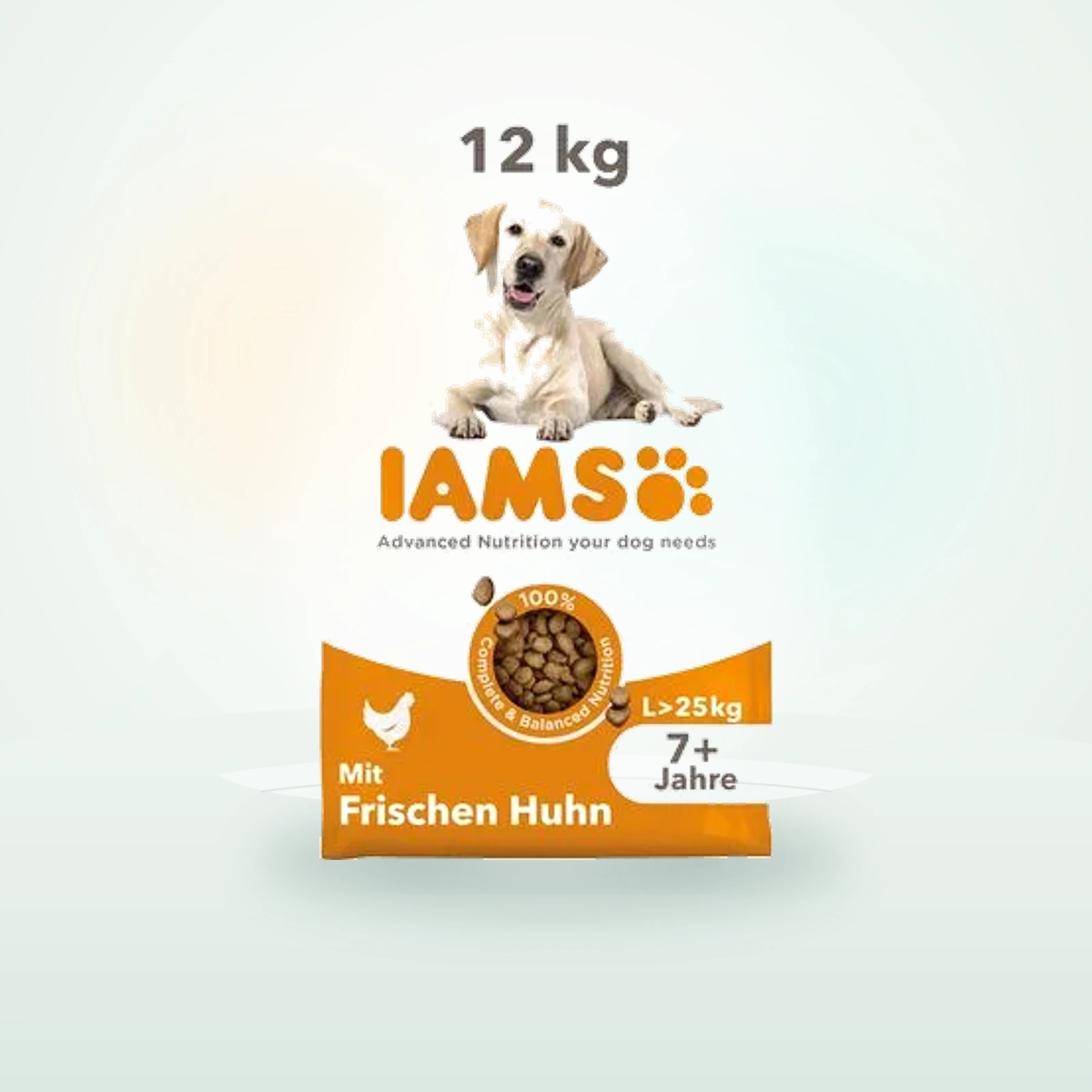IAMS Advanced Nutrition Senior Large Dog 7+ con pollo