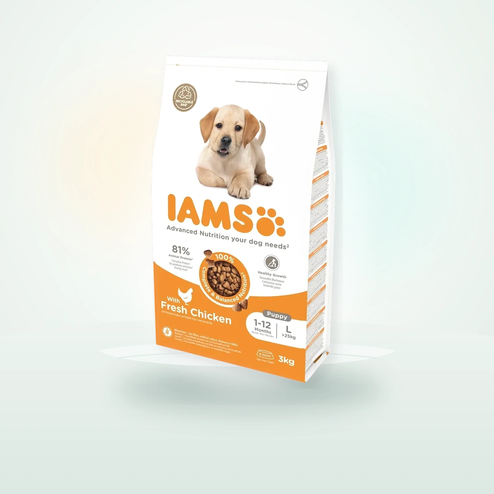 IAMS Dry Food Puppy Large Breed with Fresh Chicken