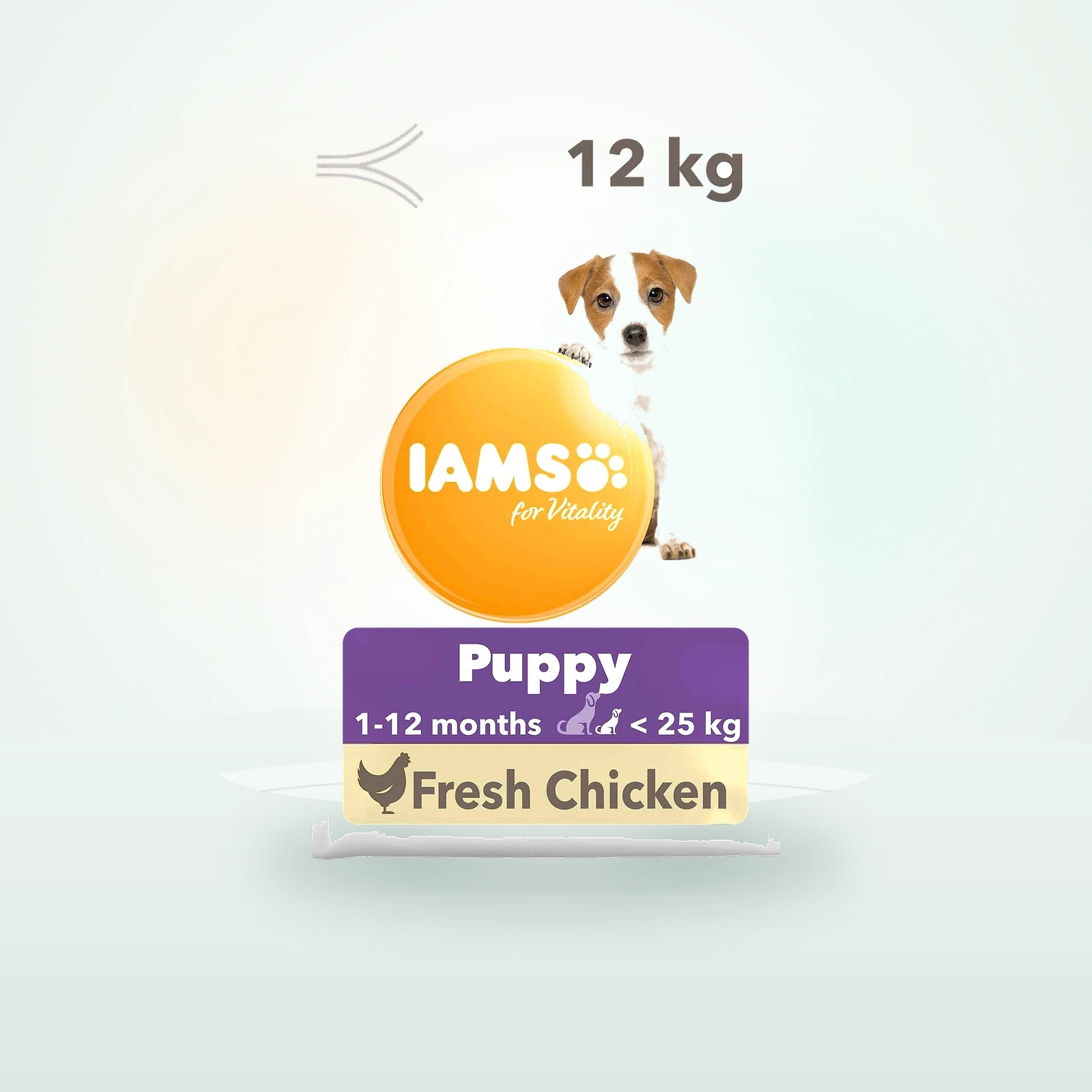 IAMS Small & Medium Breed Puppy Dry Dog Food - Chicken