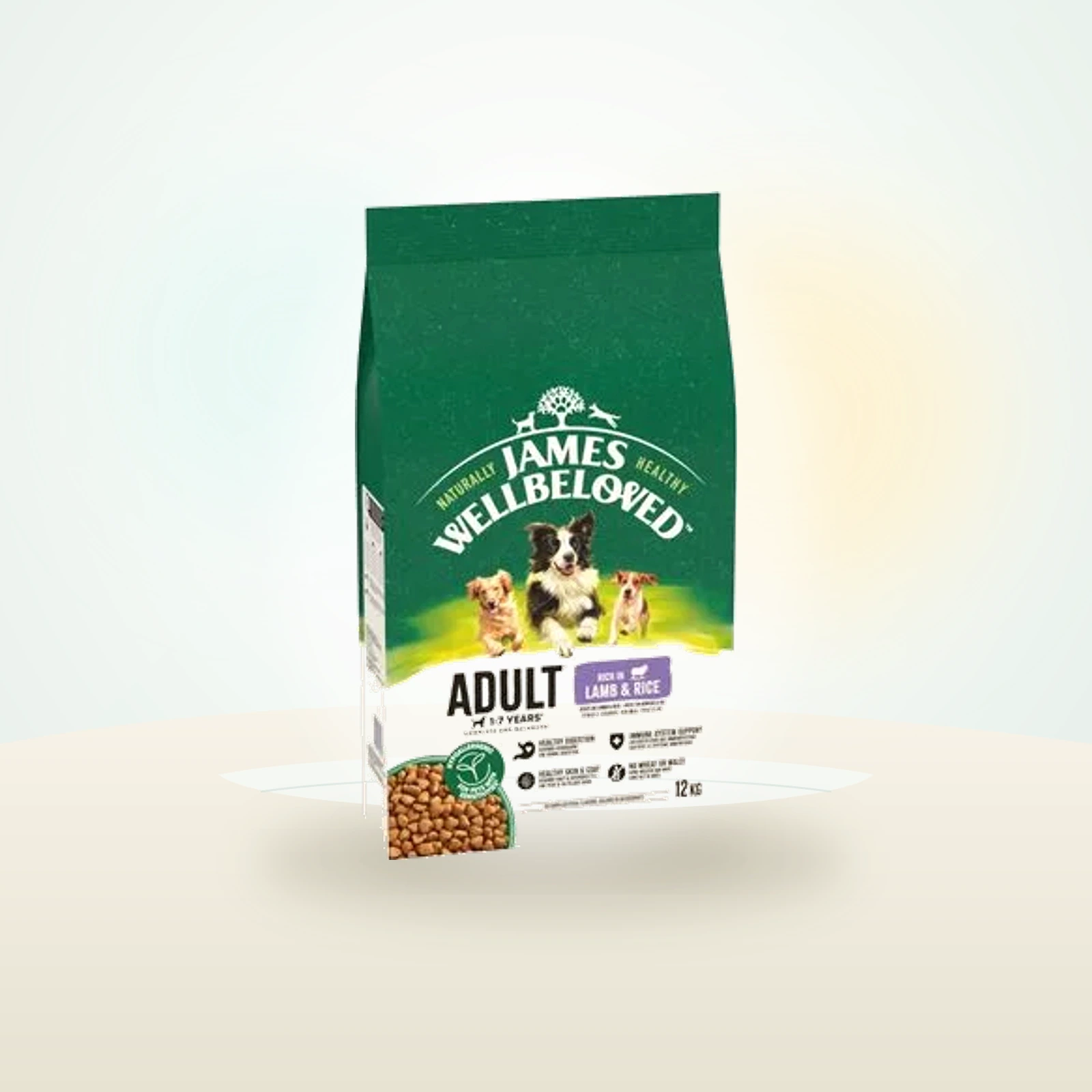 James Wellbeloved Adult Dog Hypoallergenic Lam & Ris