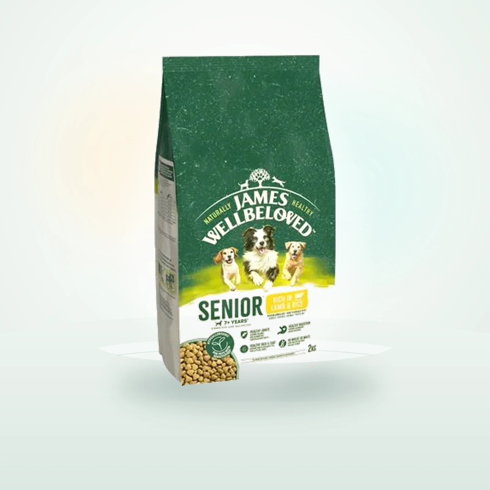James Wellbeloved Senior Dog Hypoallergenic Lamb & Rice