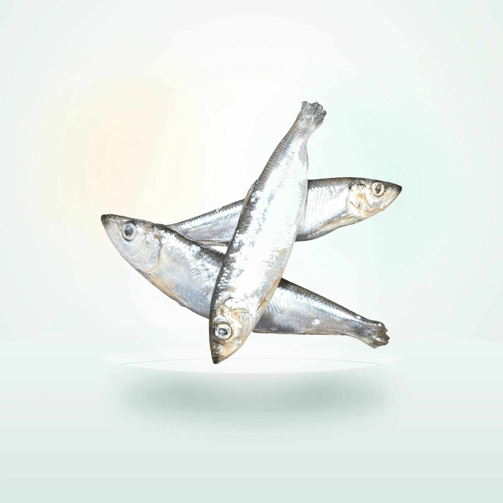 KB Raw Herring