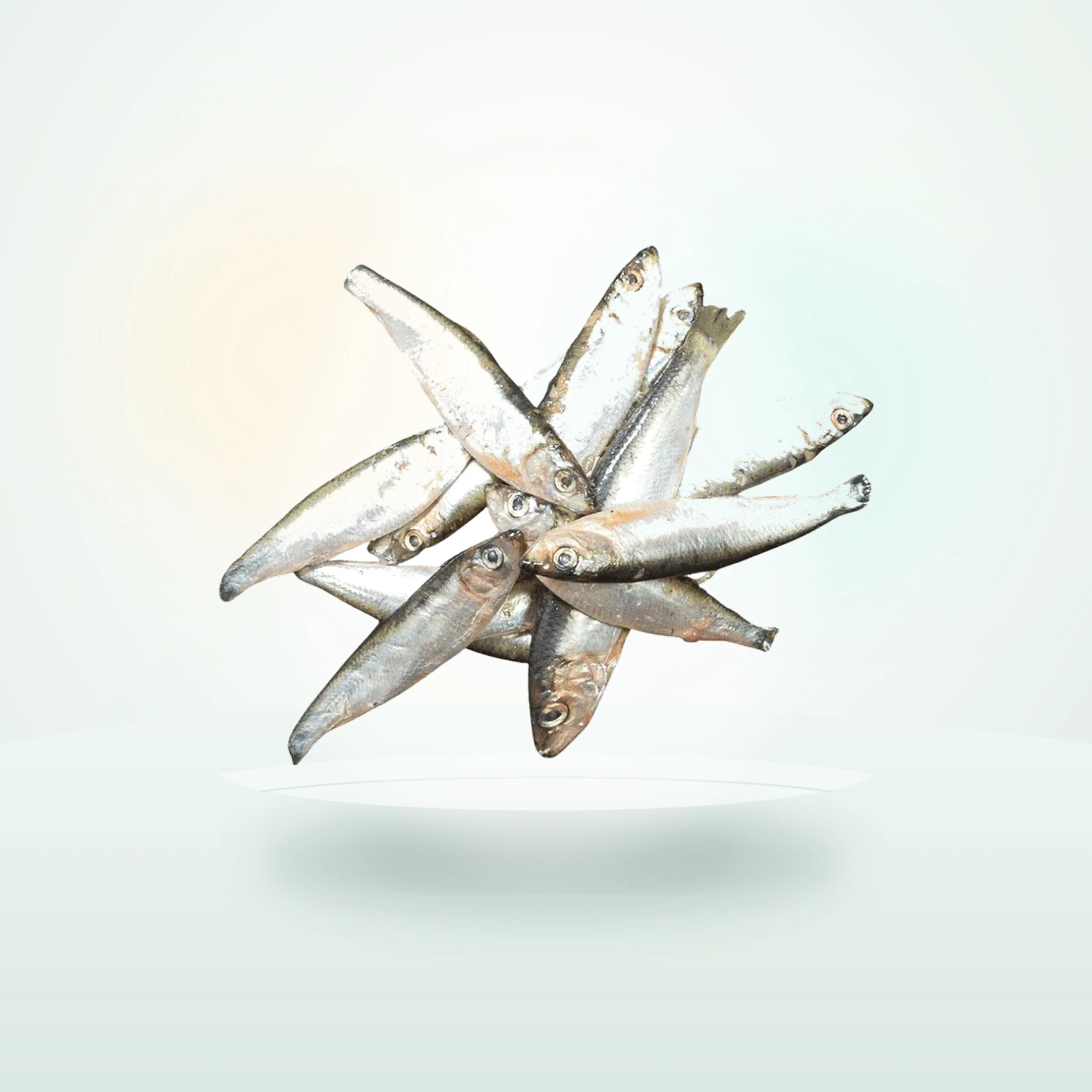KB Raw Sprats