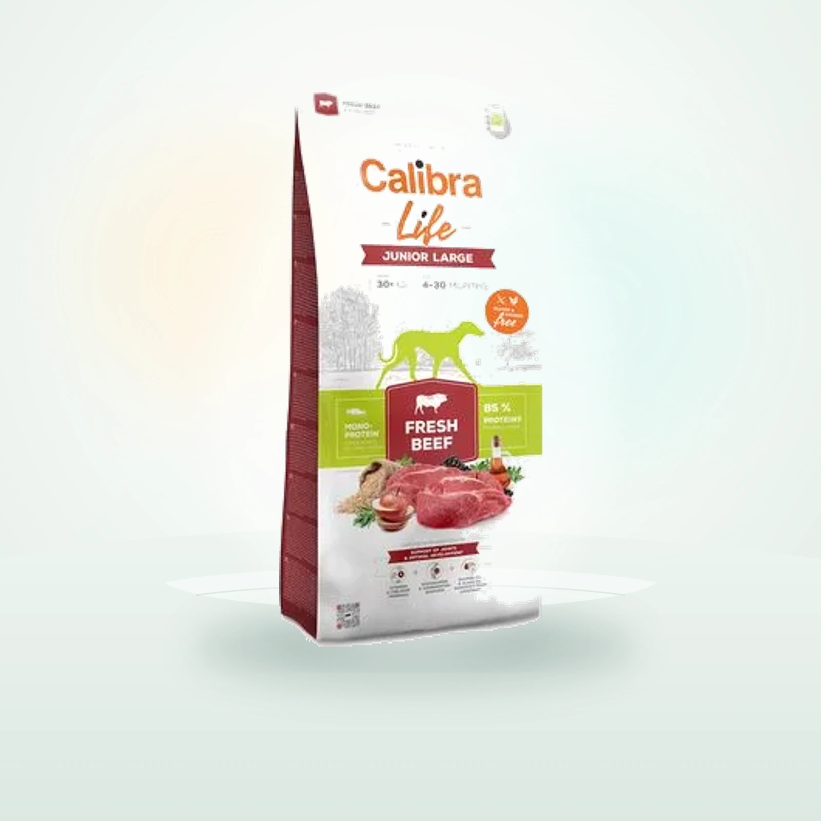 Libra Calibra Life Junior Large Breed bœuf frais pour chien