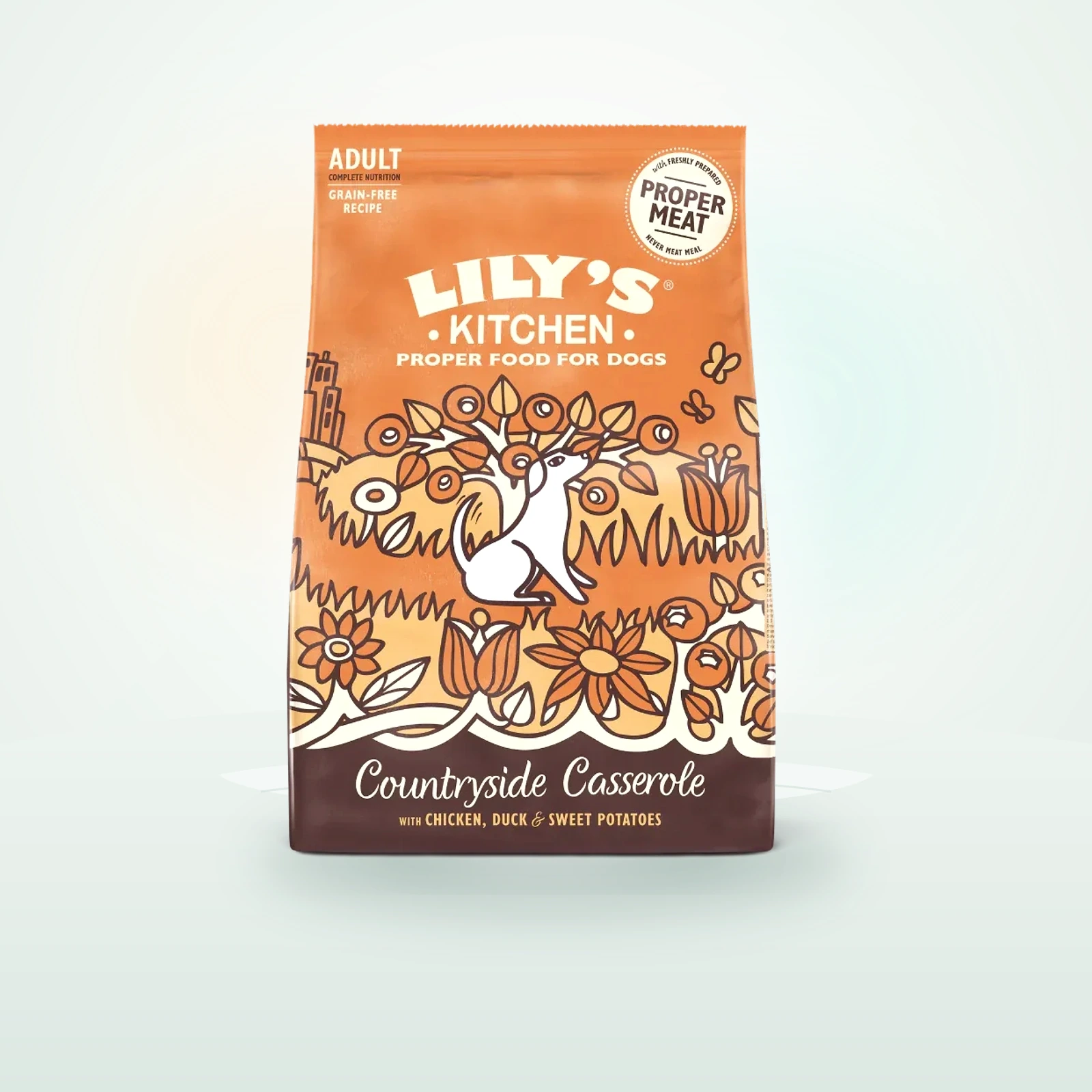 Lily's Kitchen Chicken & Duck Dry Food