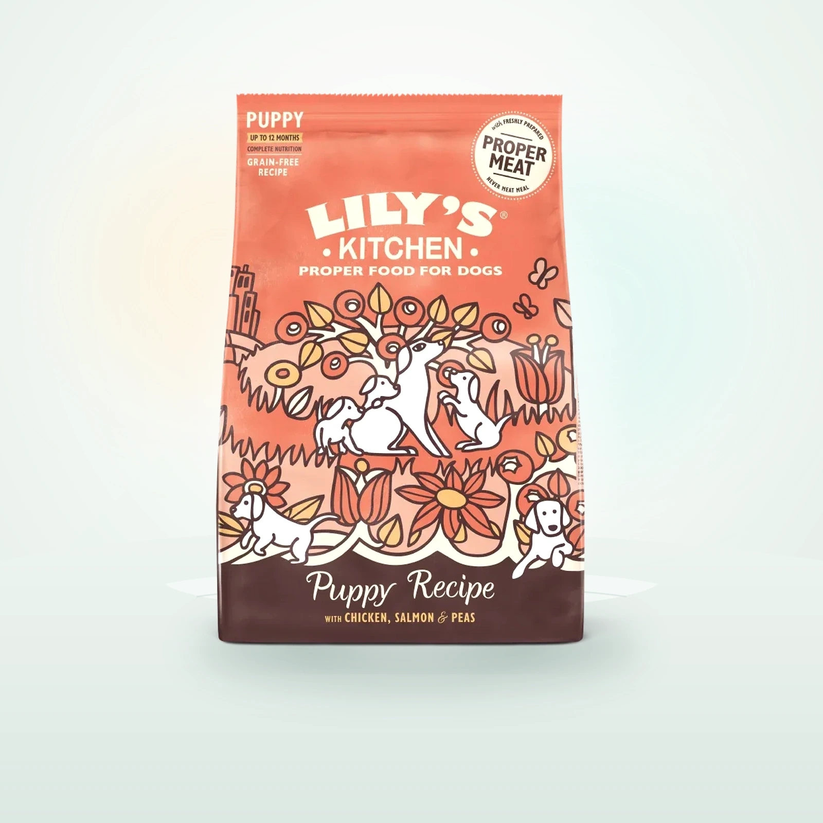 Lily's Kitchen Chicken & Salmon Dry Food for Puppies