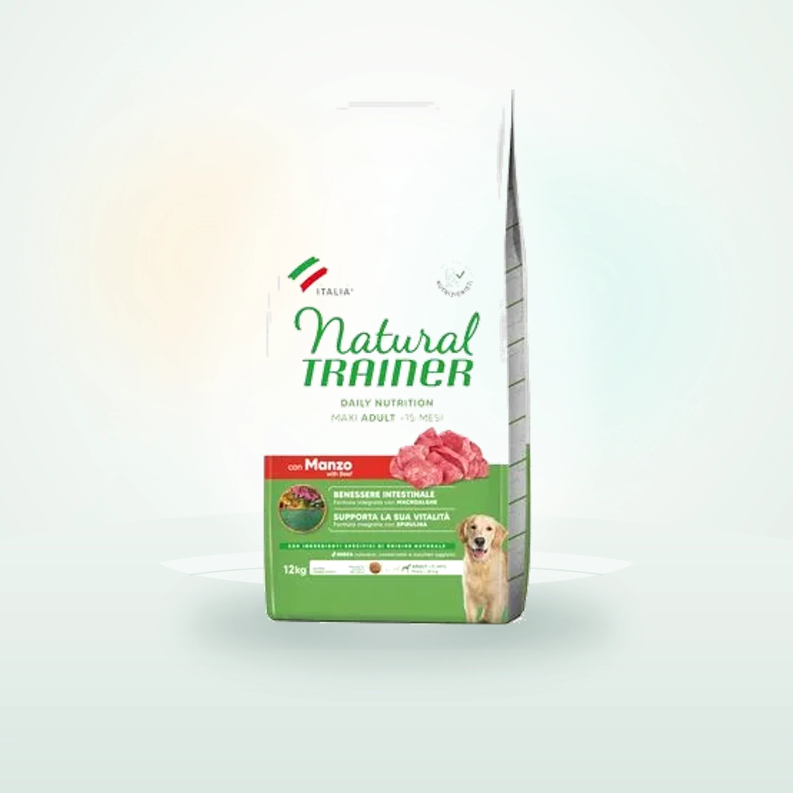Natural Trainer Adult Maxi with Beef