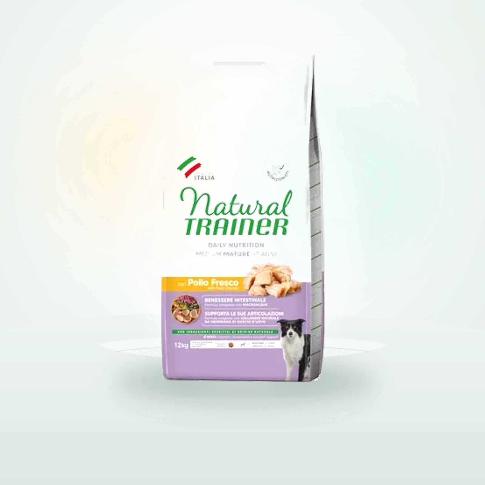 Natural Trainer Mature Medium with Chicken