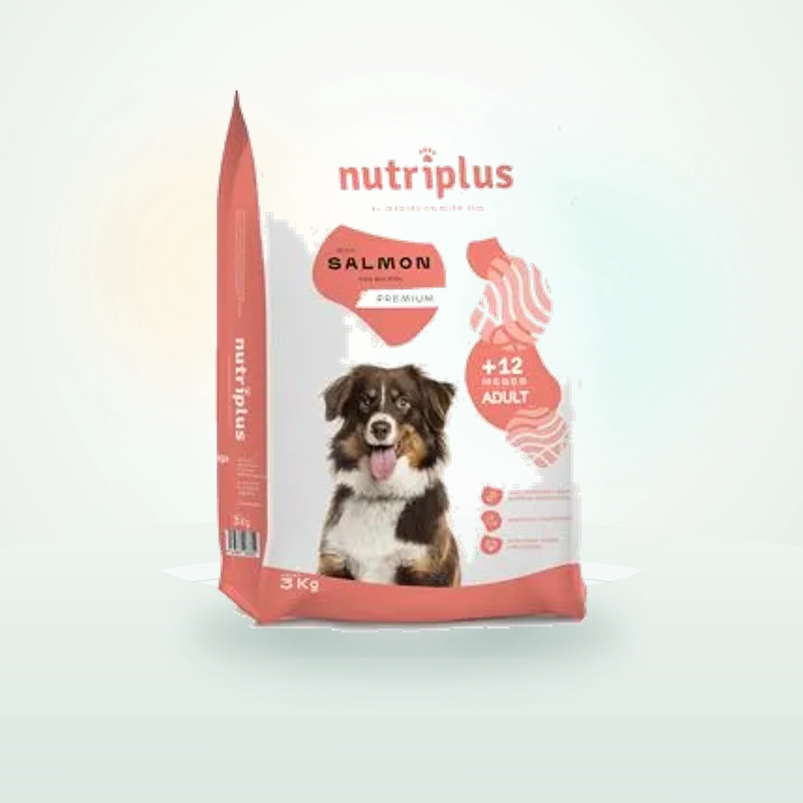 Nutriplus Adult Dog mit Lachs
