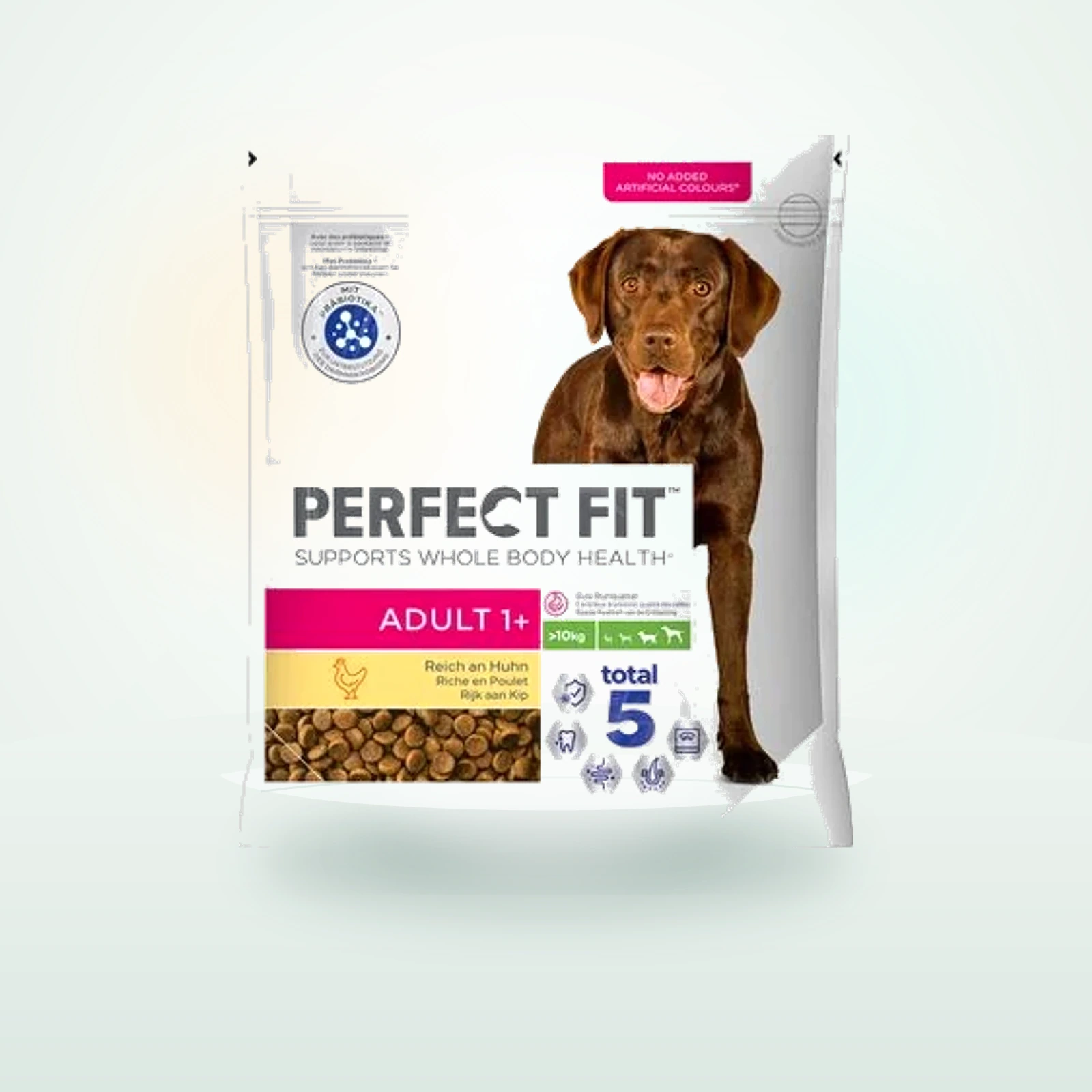 Perfect Fit Adult Dogs (>)
