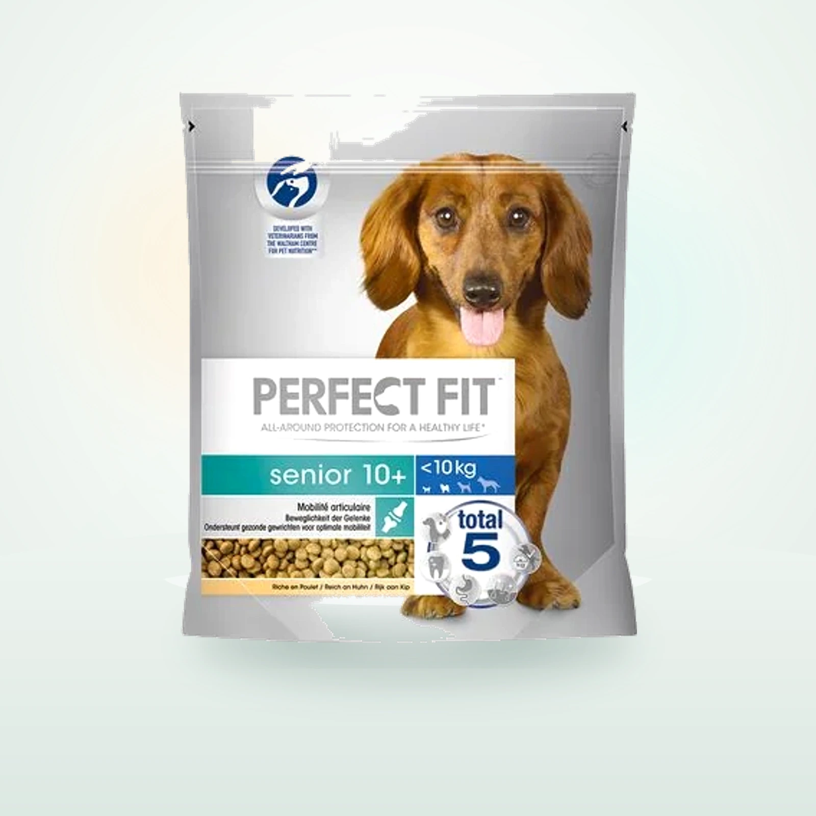 Perfect Fit Senior Small Dogs (<)