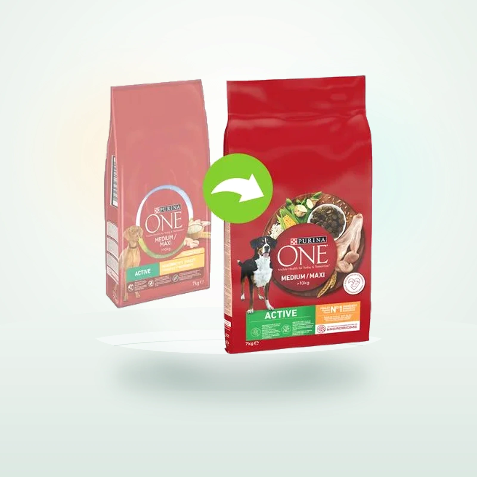Purina One Medium/Maxi Adult Active Kylling