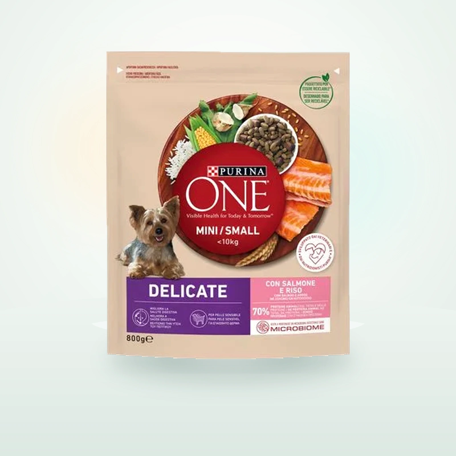 Purina One Mini Delicate Salmon & Rice