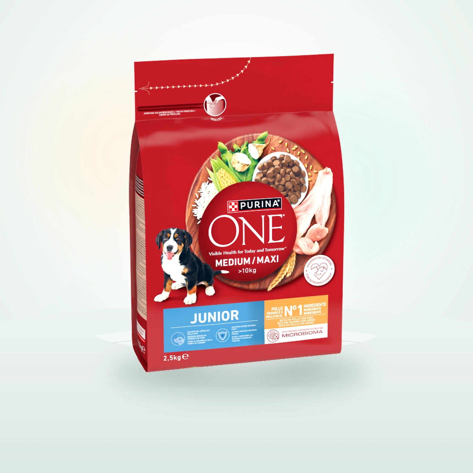 Purina One Pienso Pollo para perros junior