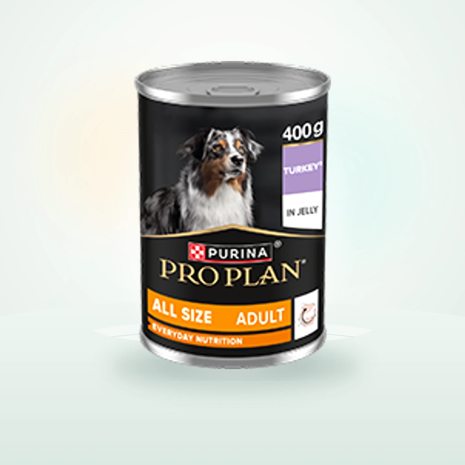 Purina Pro Plan Everyday Nutrition Turkey in Jelly Wet Dog Food