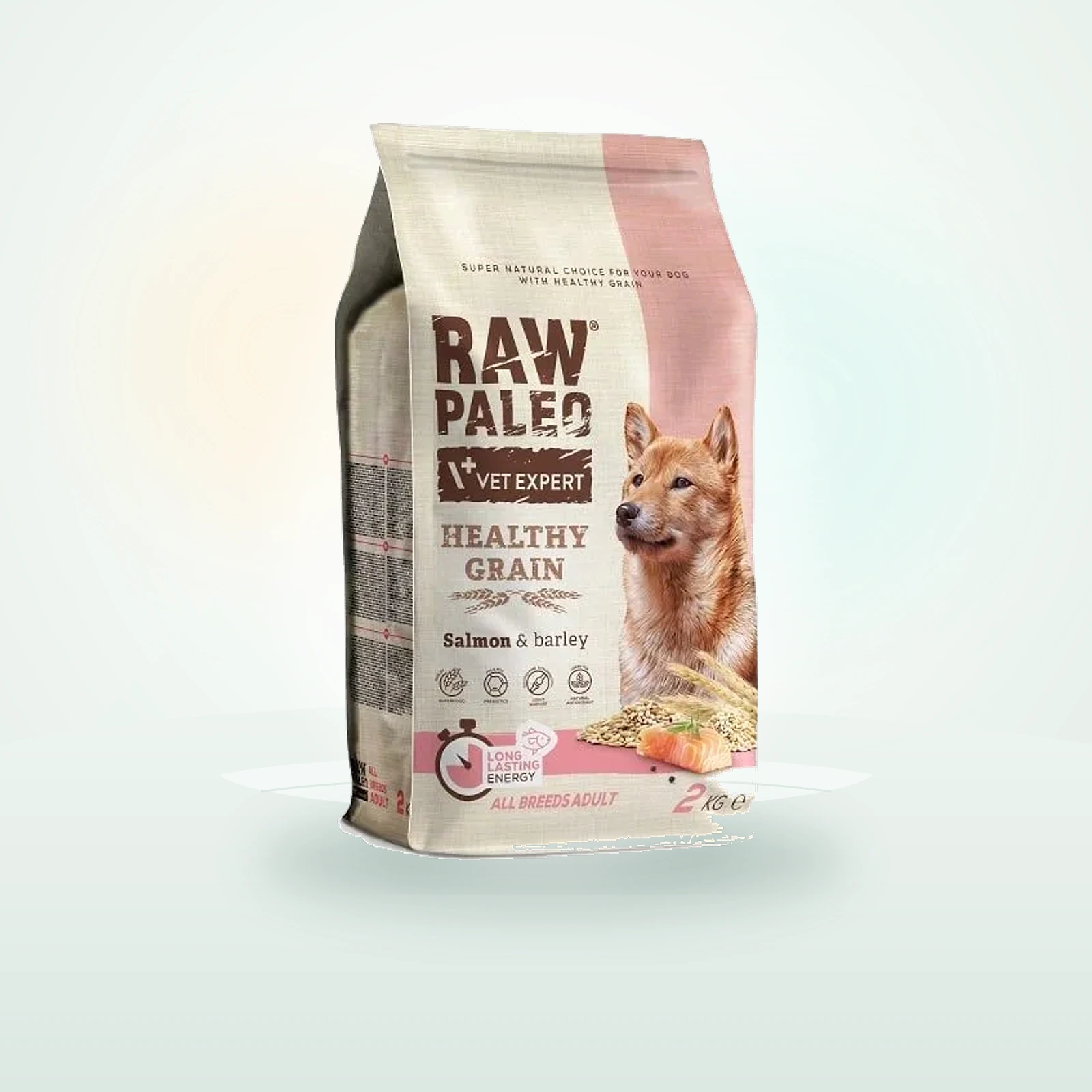 RAW PALEO VET EXPERT RAW PALEO Healthy Grain Adult Salmon z łososiem dla dorosłych psów
