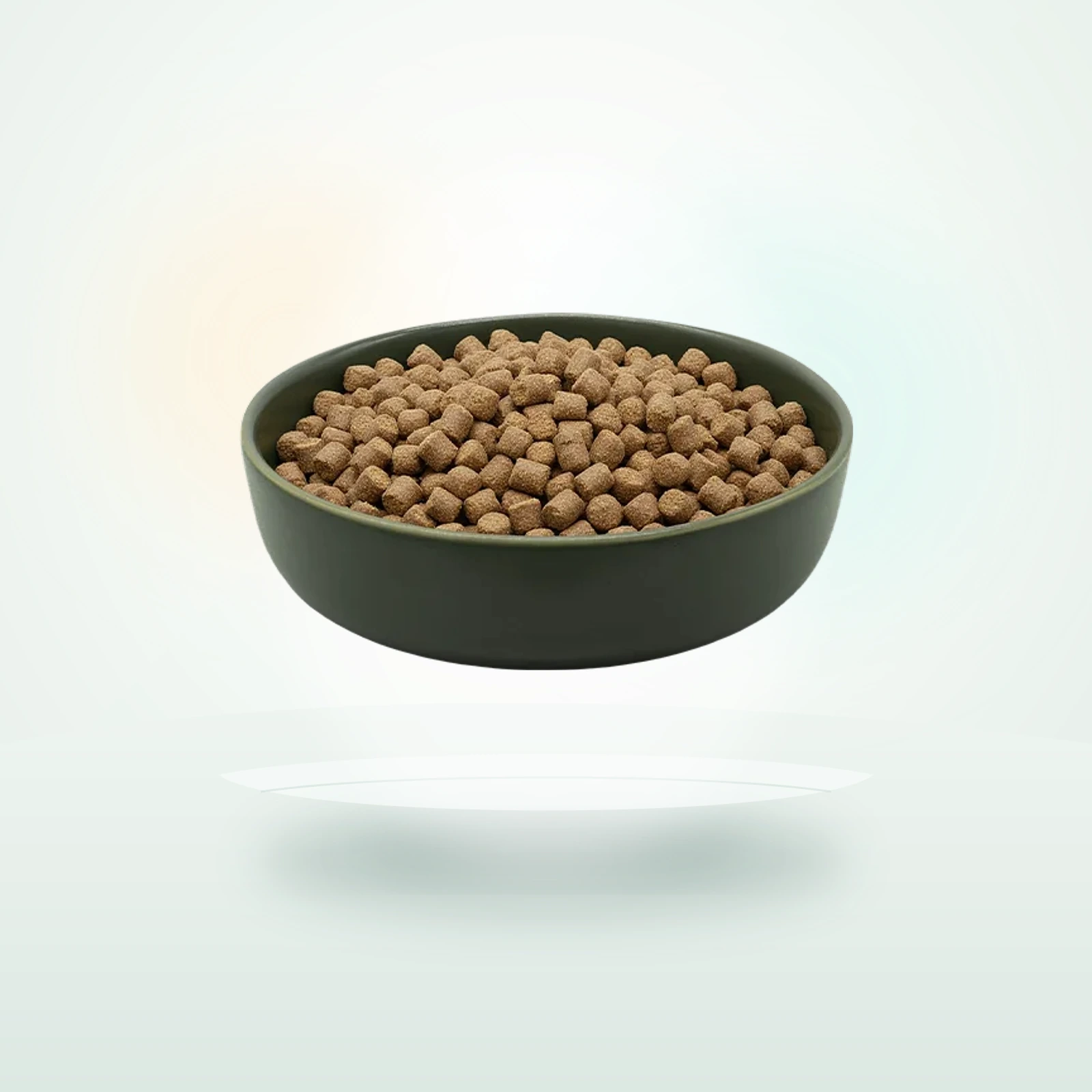 REICO MAXiDOG Allround Champion