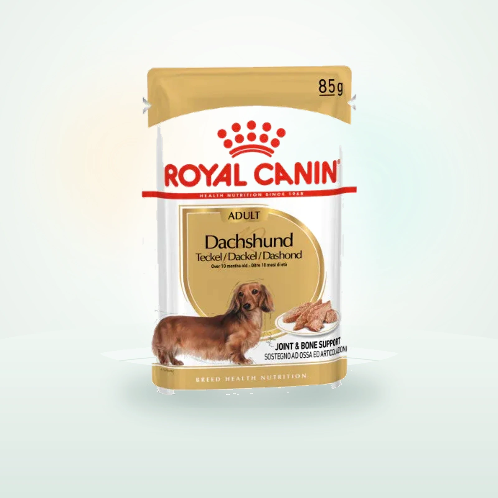 Royal Canin (Adult) - Dachshund