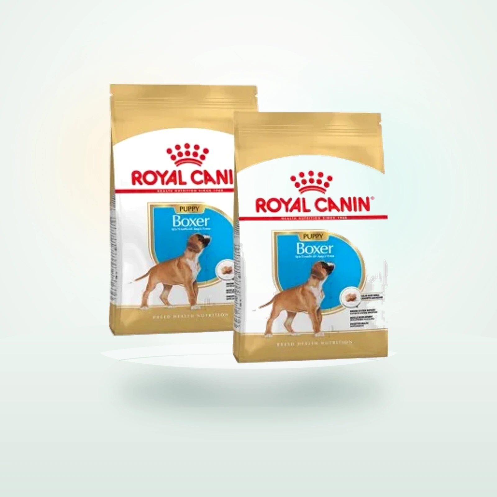 Royal Canin Boxer Chiot
