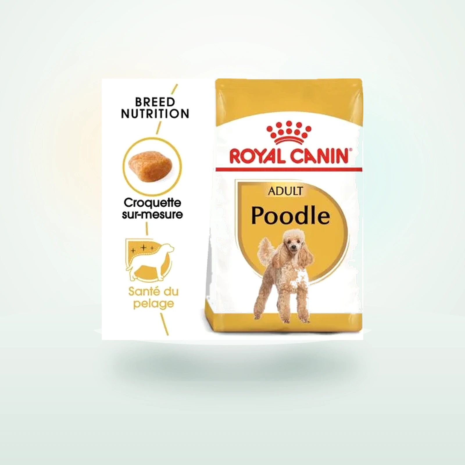 Royal Canin Caniche Adult