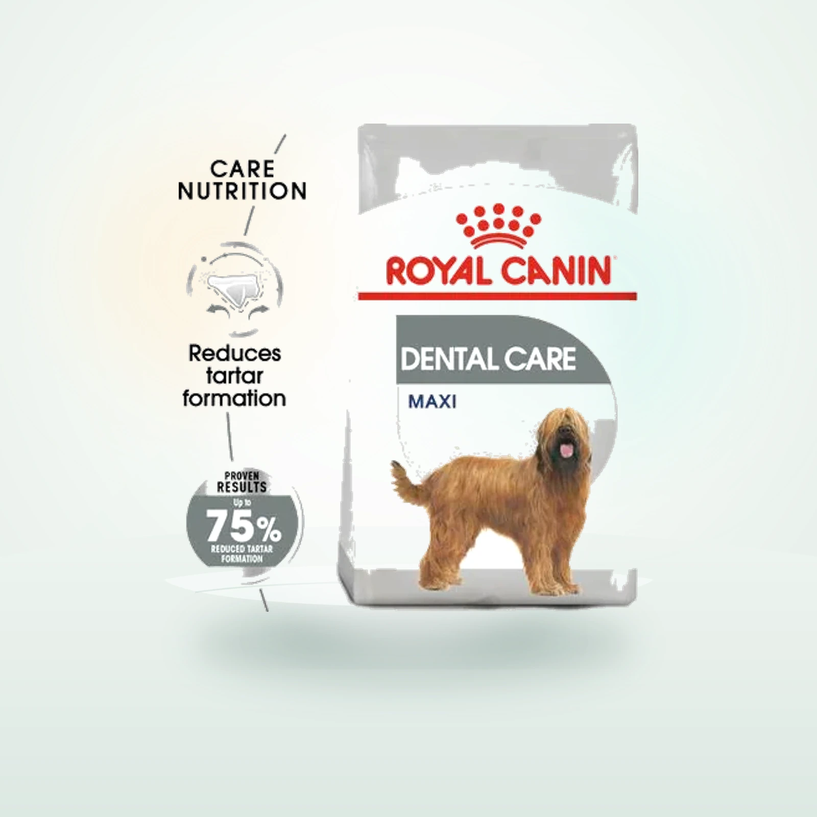 Royal Canin Care Nutrition Maxi Dental Care