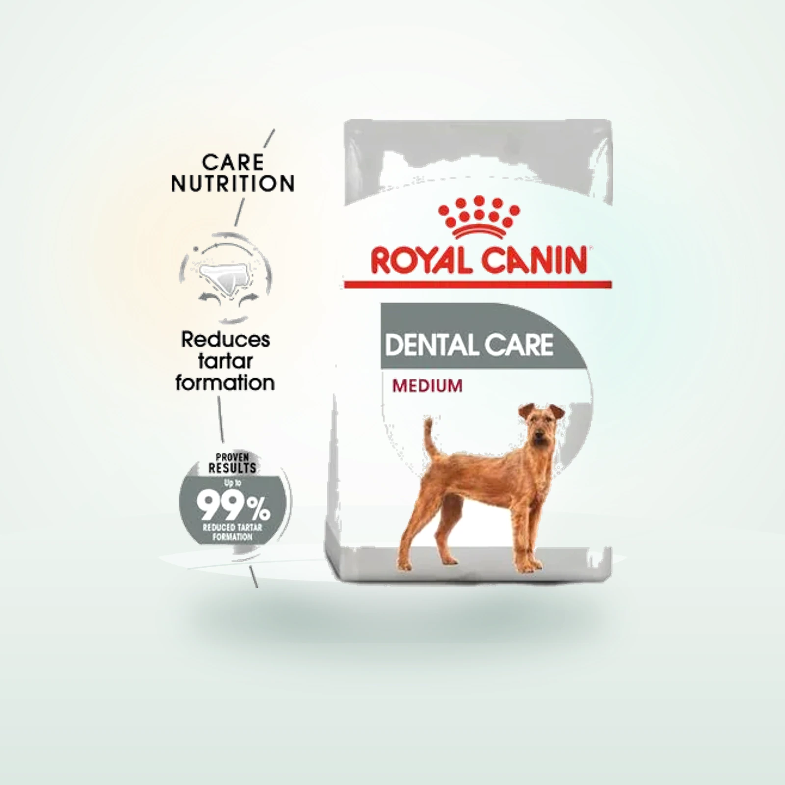 Royal Canin Care Nutrition Medium Dental Care