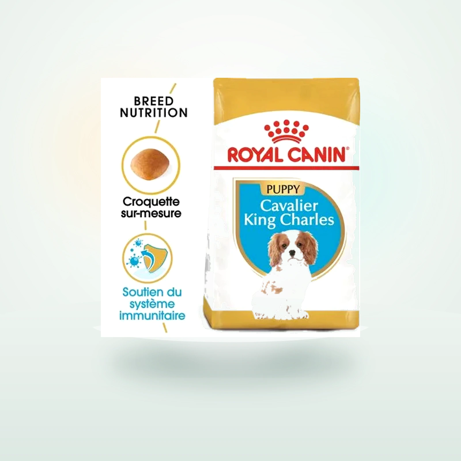 Royal Canin Cavalier King Charles Puppy pour chiot