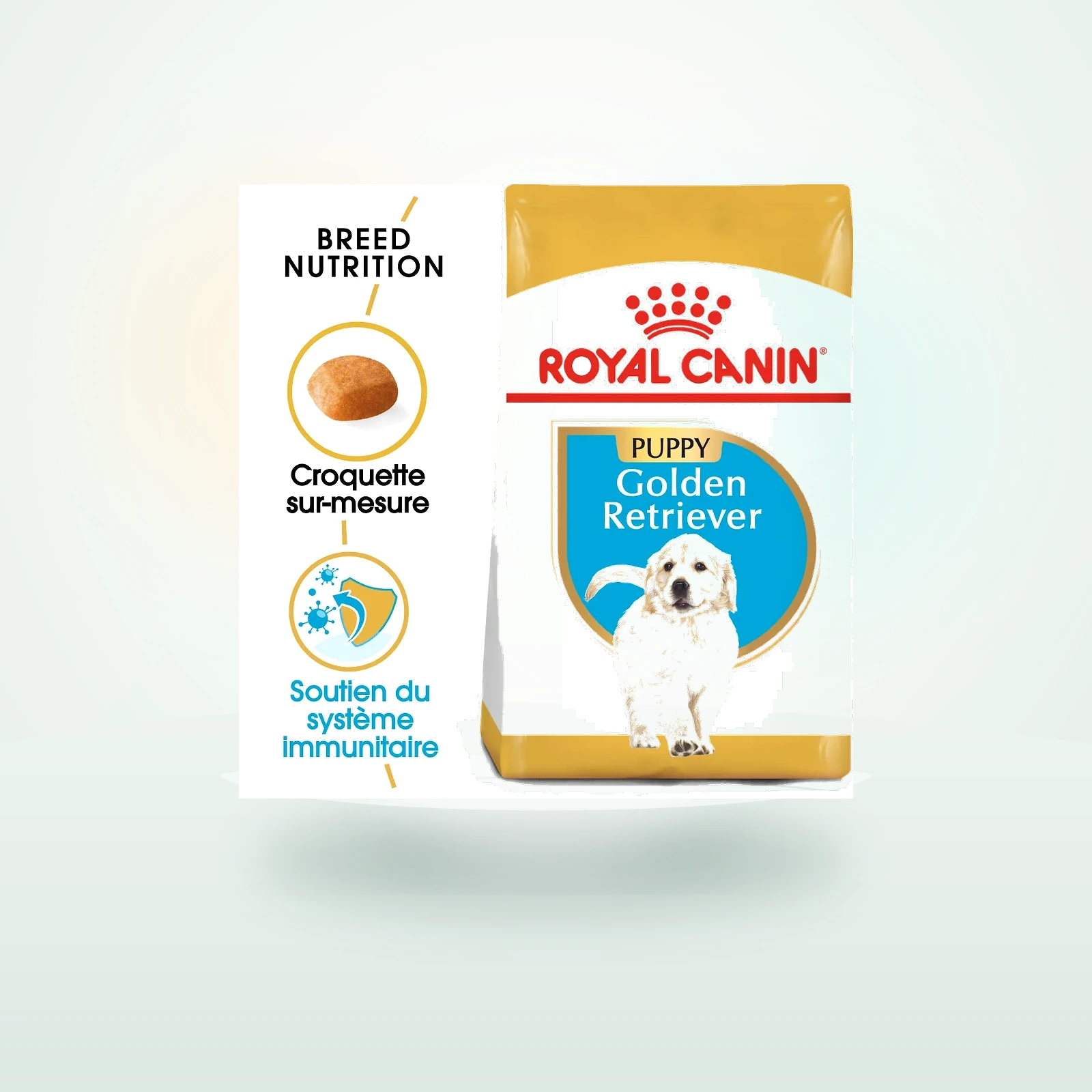 Royal Canin Croquettes Puppy Golden Retriever Chiot jusqu'à 15 mois