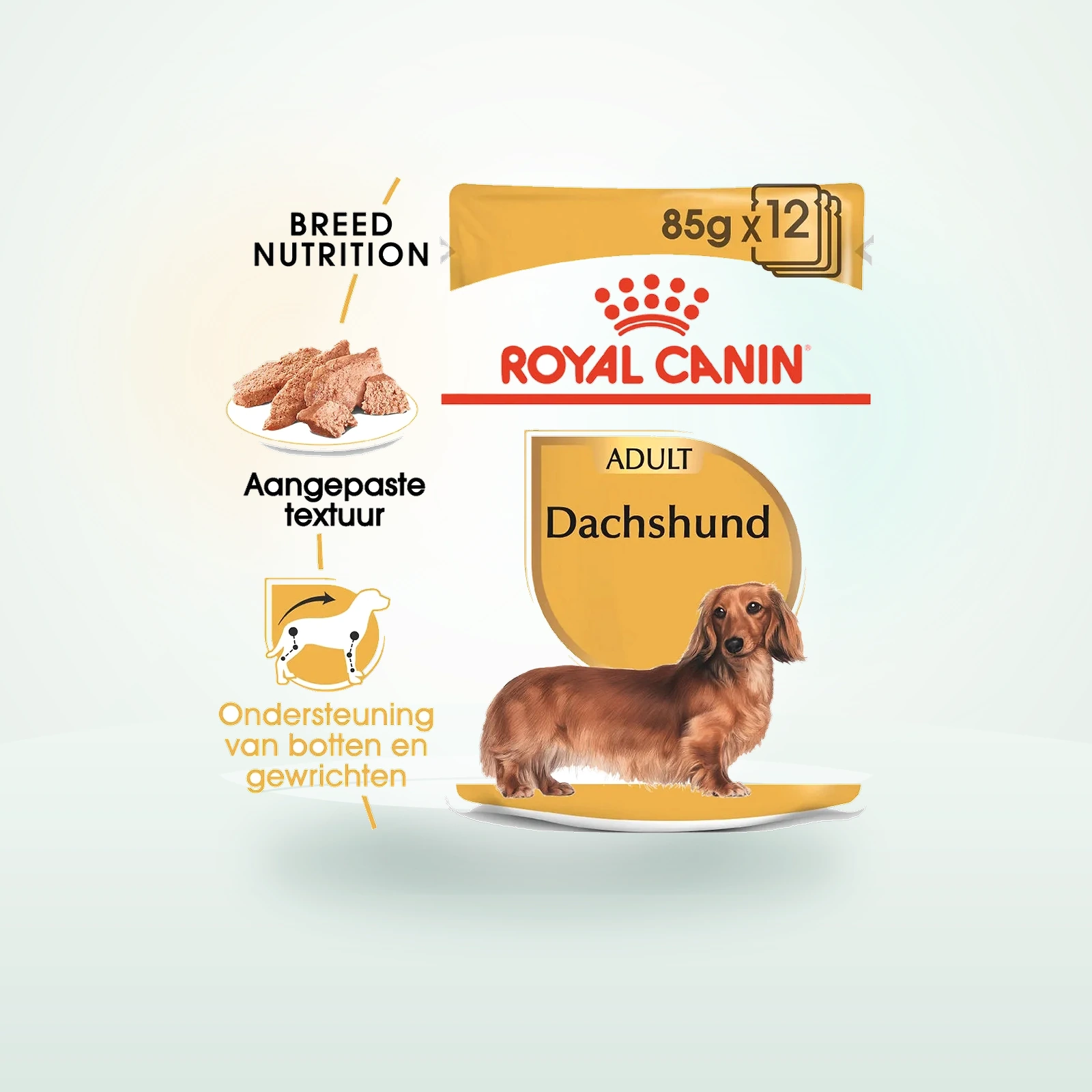 Royal Canin Dachshund Adult Wet