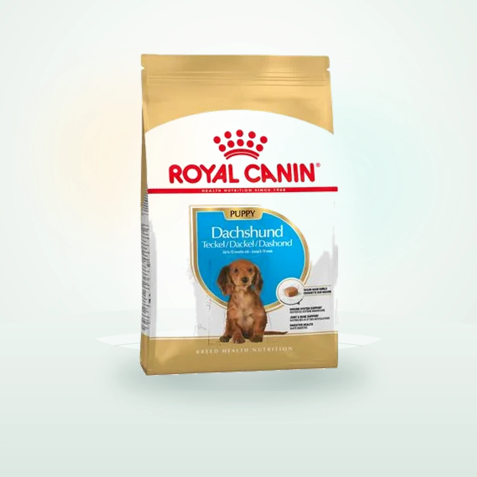 Royal Canin Dachshund Puppy