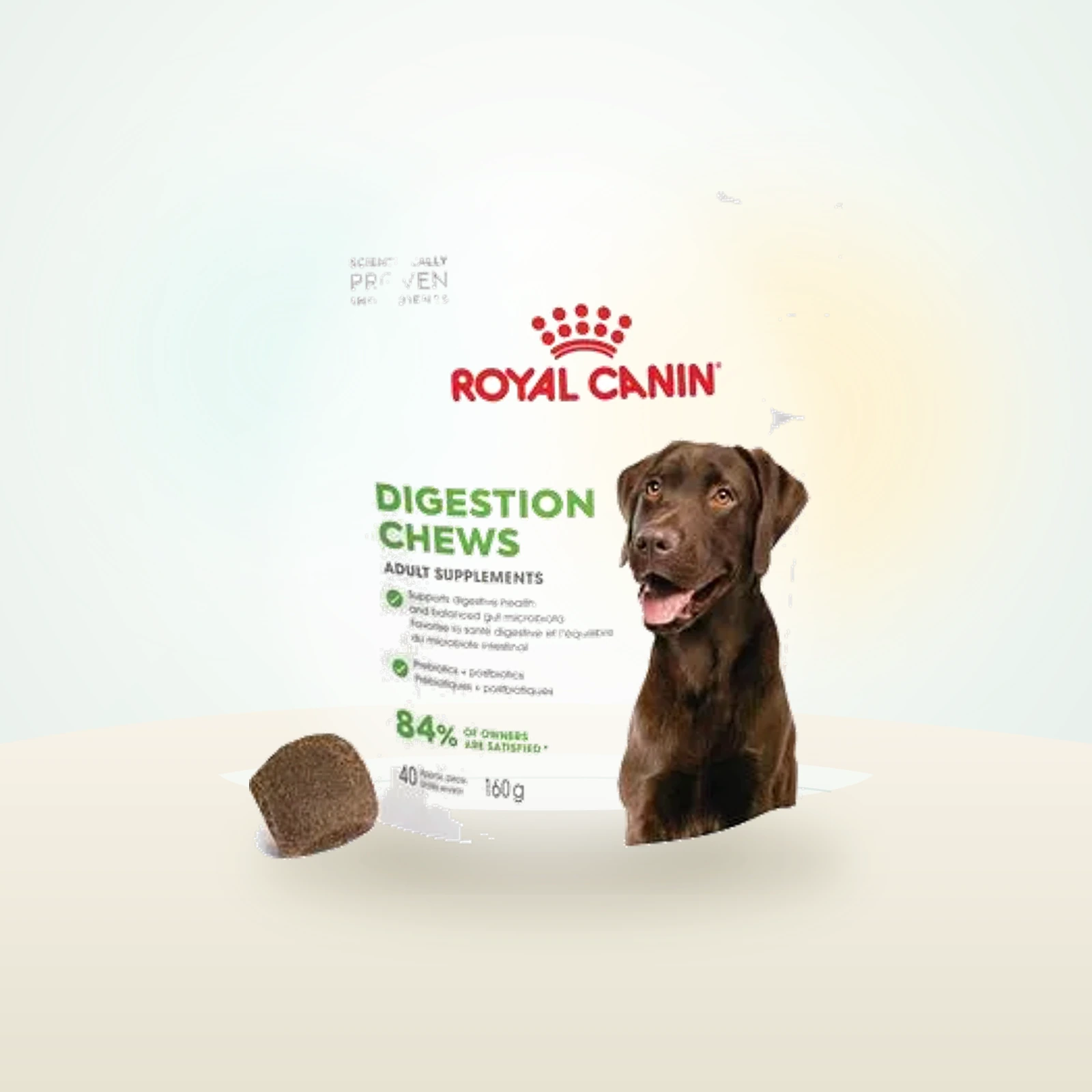 Royal Canin Digestion Adult suplemento masticable
